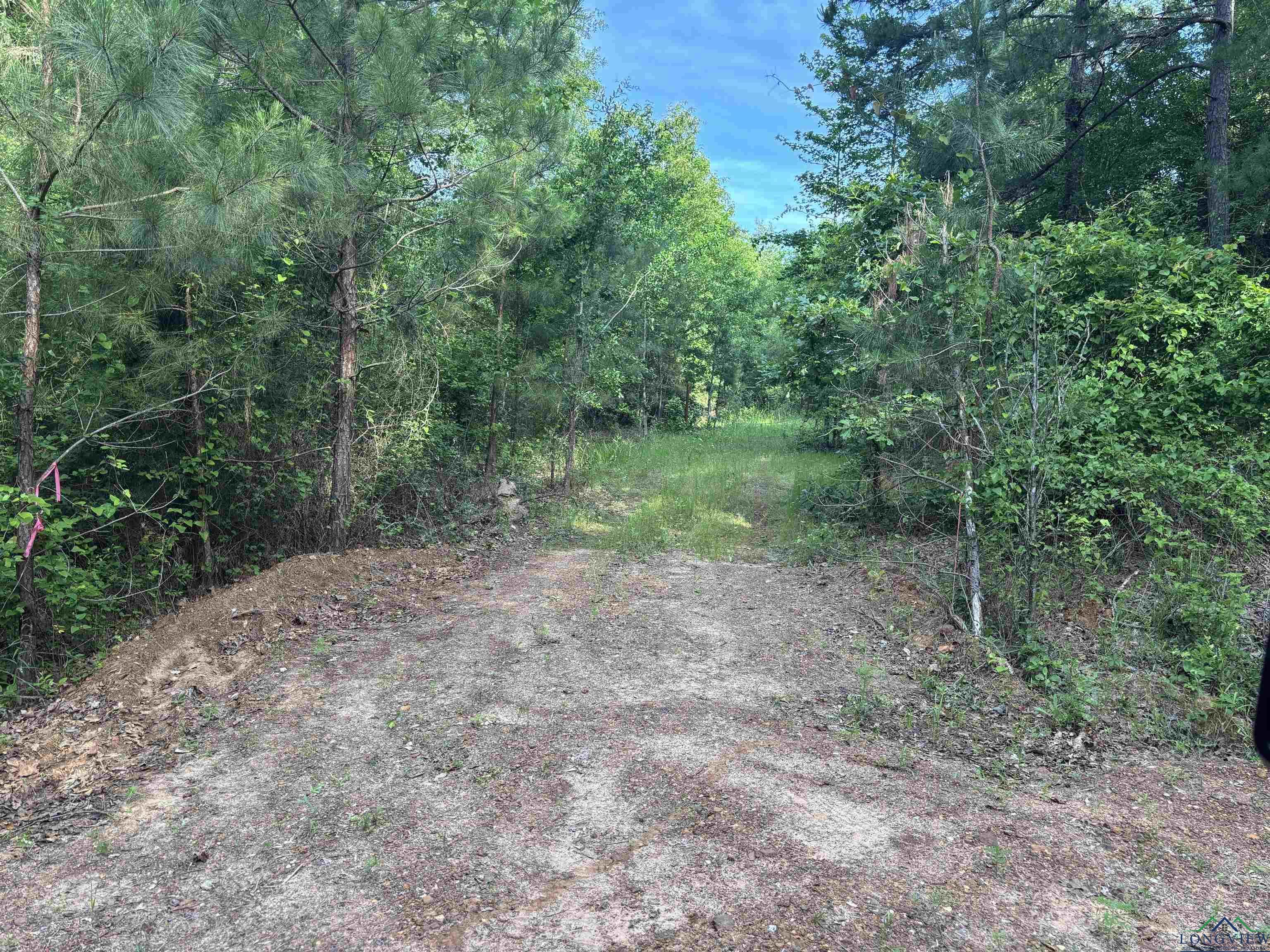 TBD Willie Reed Road, Jefferson, Texas image 7