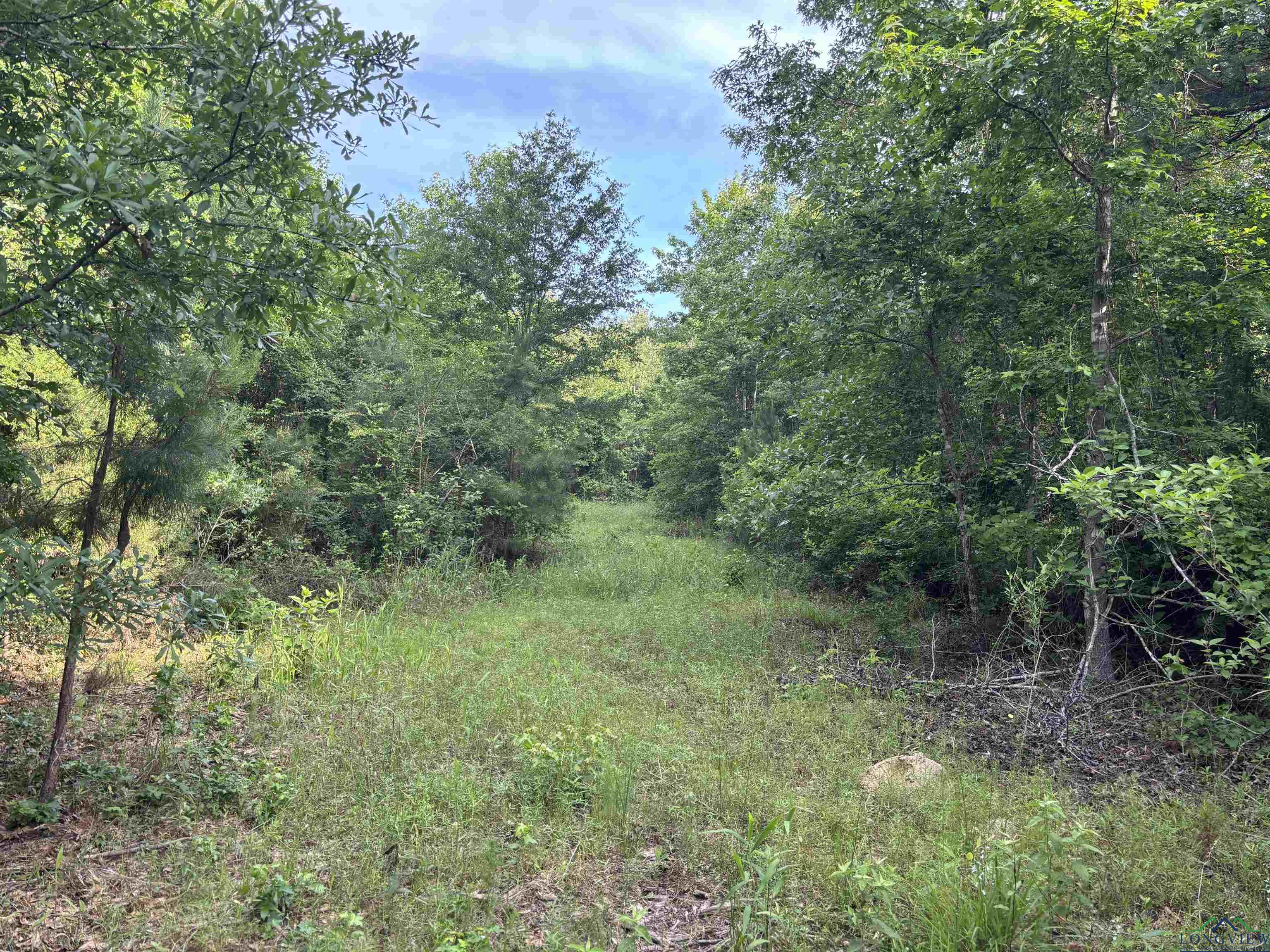 TBD Willie Reed Road, Jefferson, Texas image 2