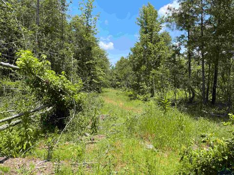 Homes For Sale - TBD Hwy 49<br/> Marion County, Jefferson, TX 75657