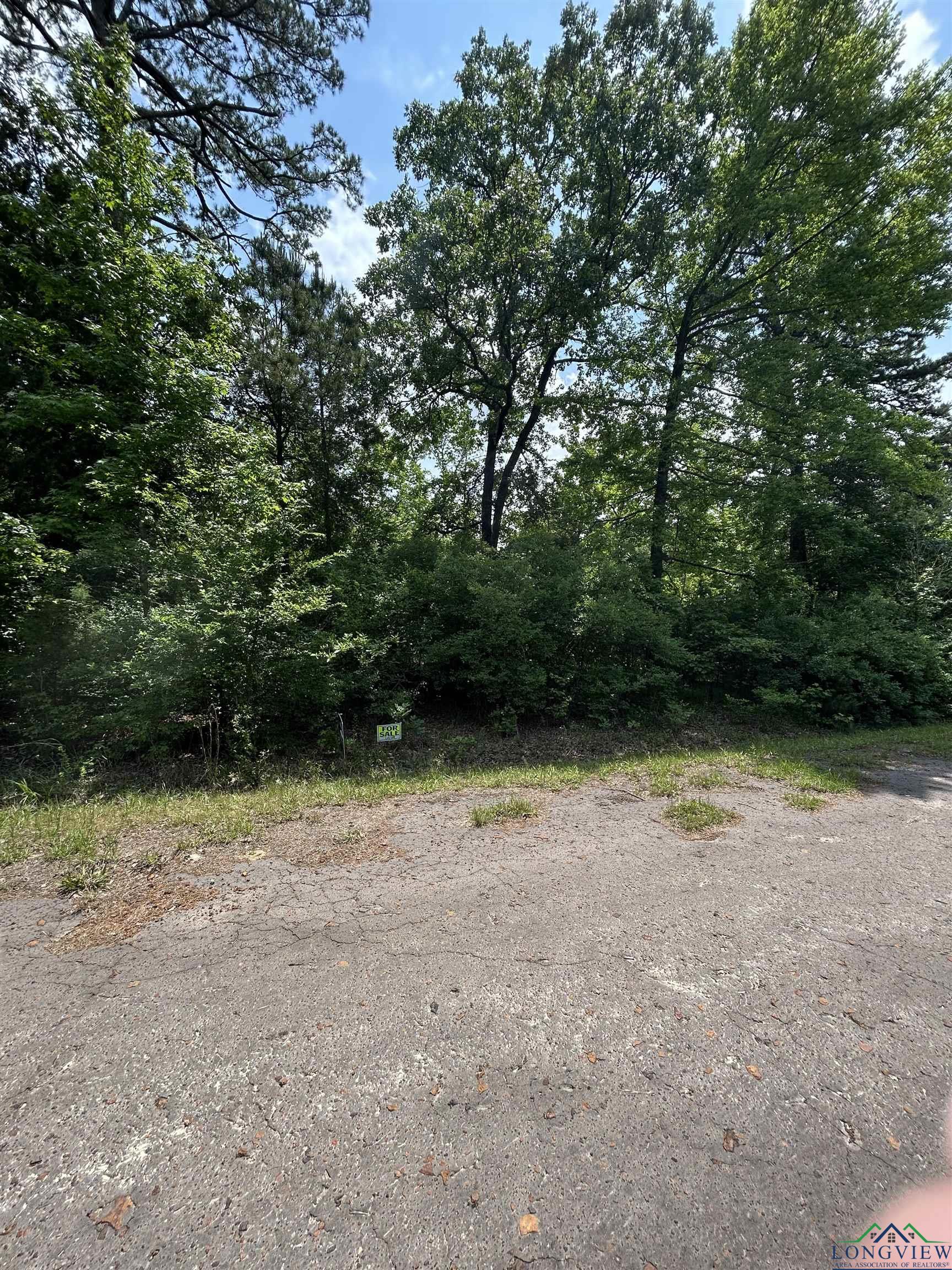 Lot 539 Tbd Eagle Bluff Loop, Avinger, Texas image 1