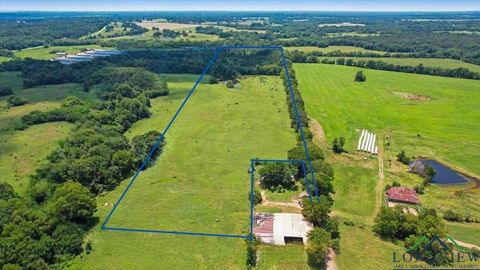 Vacant Land For Sale - 195 Cr 2648<br/> Hopkins County, Winnsboro, TX 75494