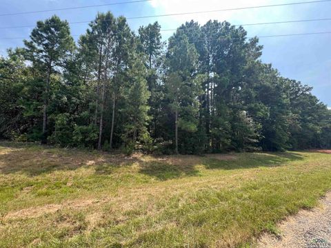 Vacant Land For Sale - TBD Fm 1520<br/> Pittsburg, TX 75686