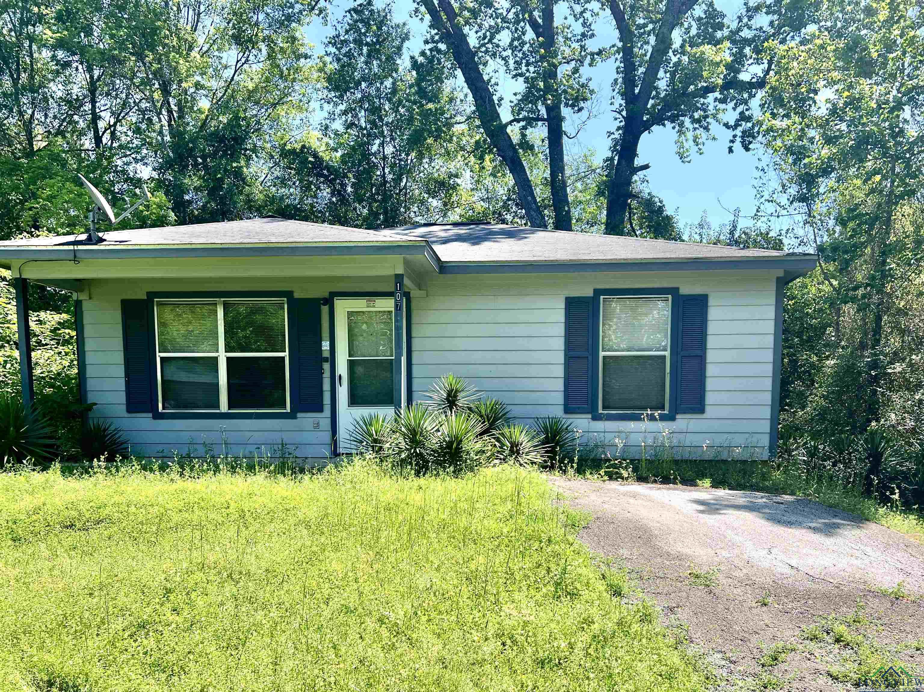 107 Kindle Street, Center, Texas image 1