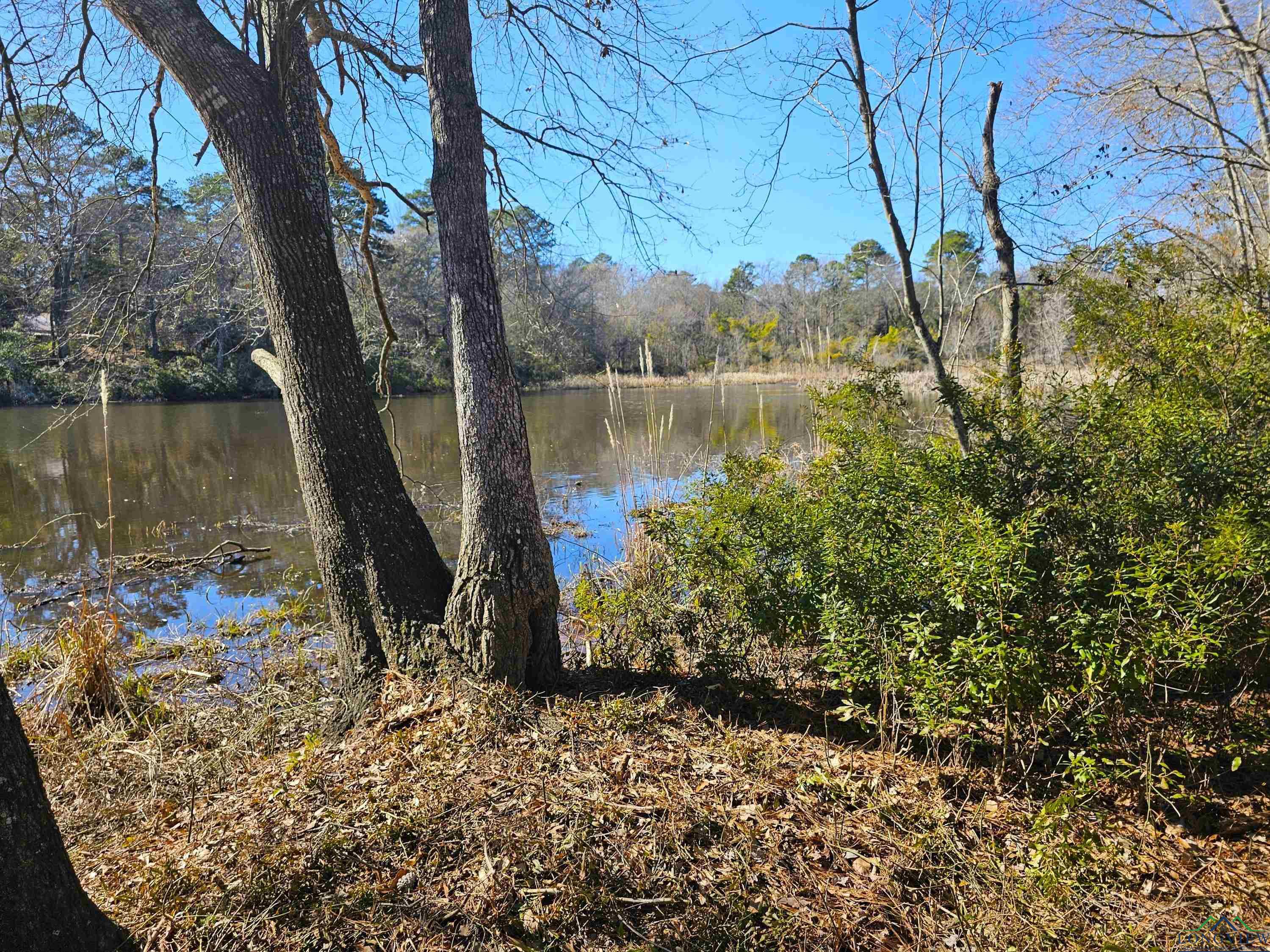 343 Laura Ln, Bullard, Texas image 7