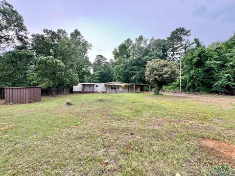 A home in Hallsville