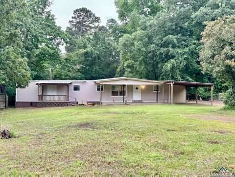 A home in Hallsville