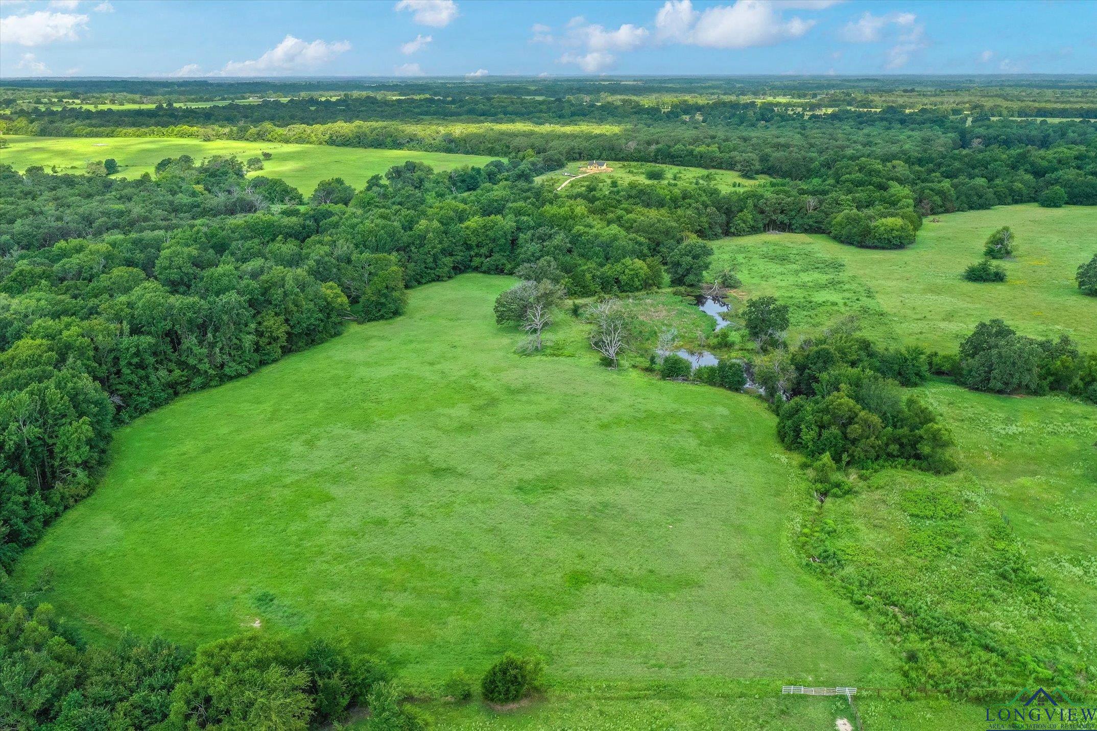 100+/- Acres Fm 773, Grand Saline, Texas image 18