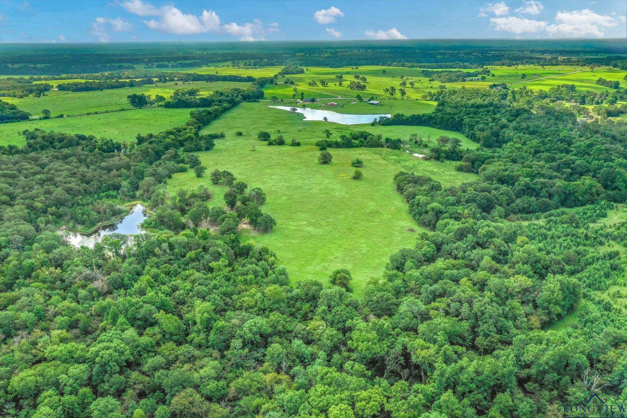 100+/- Acres Fm 773, Grand Saline, Texas image 3