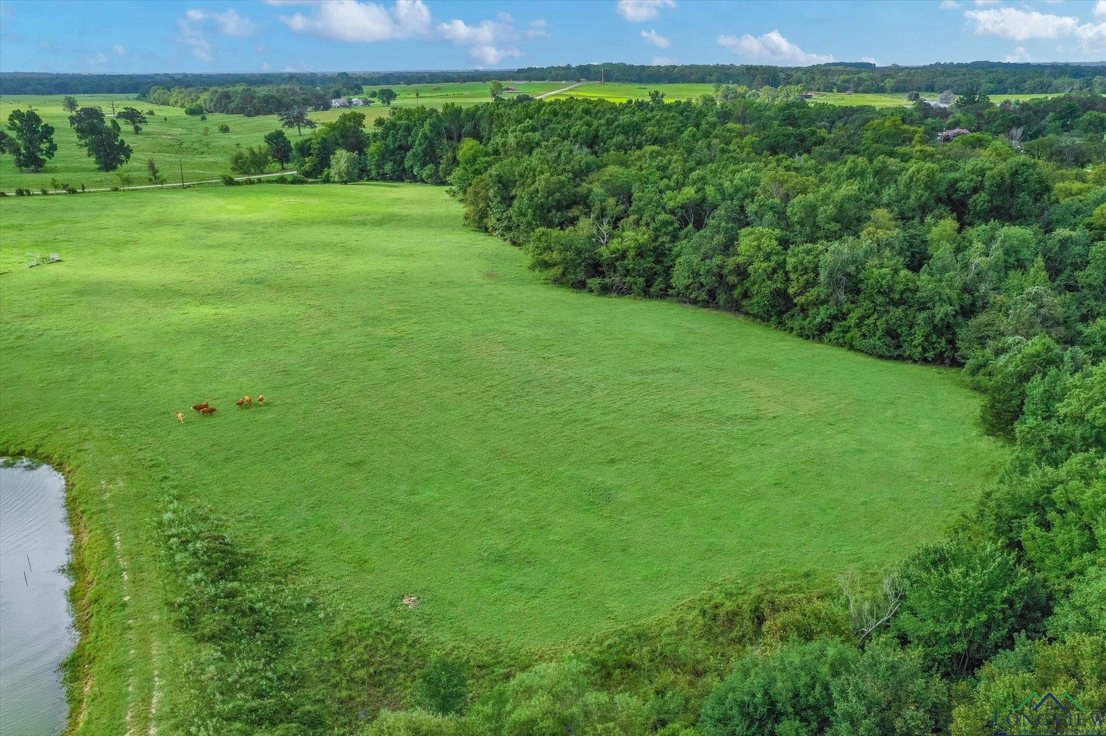 100+/- Acres Fm 773, Grand Saline, Texas image 17