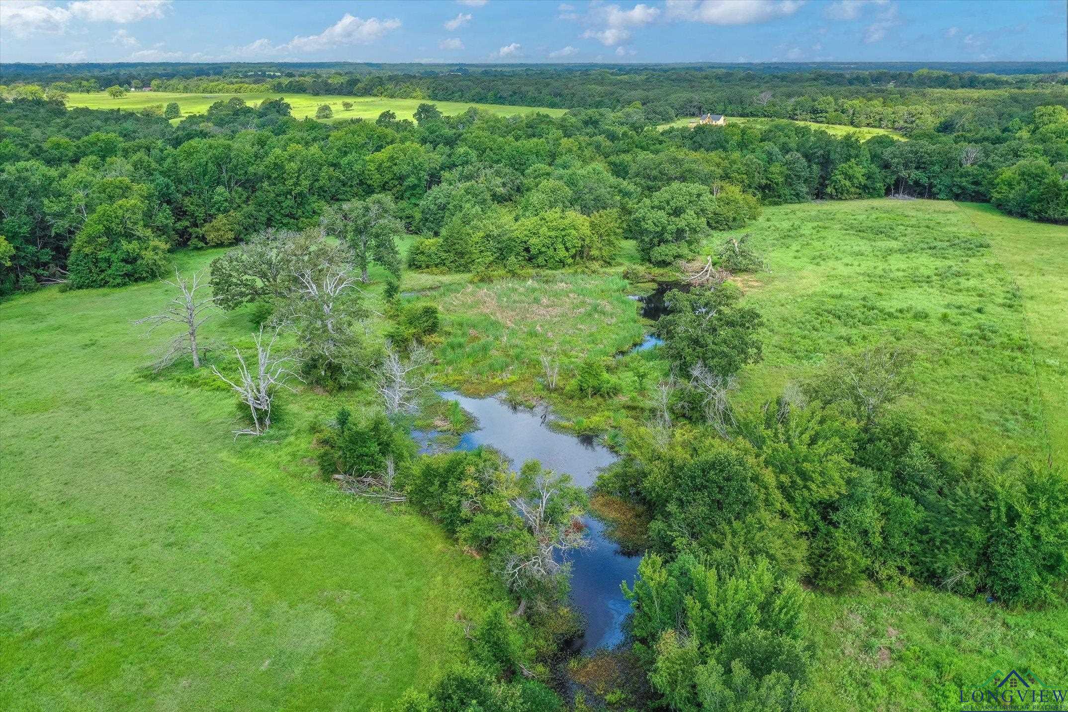 100+/- Acres Fm 773, Grand Saline, Texas image 20