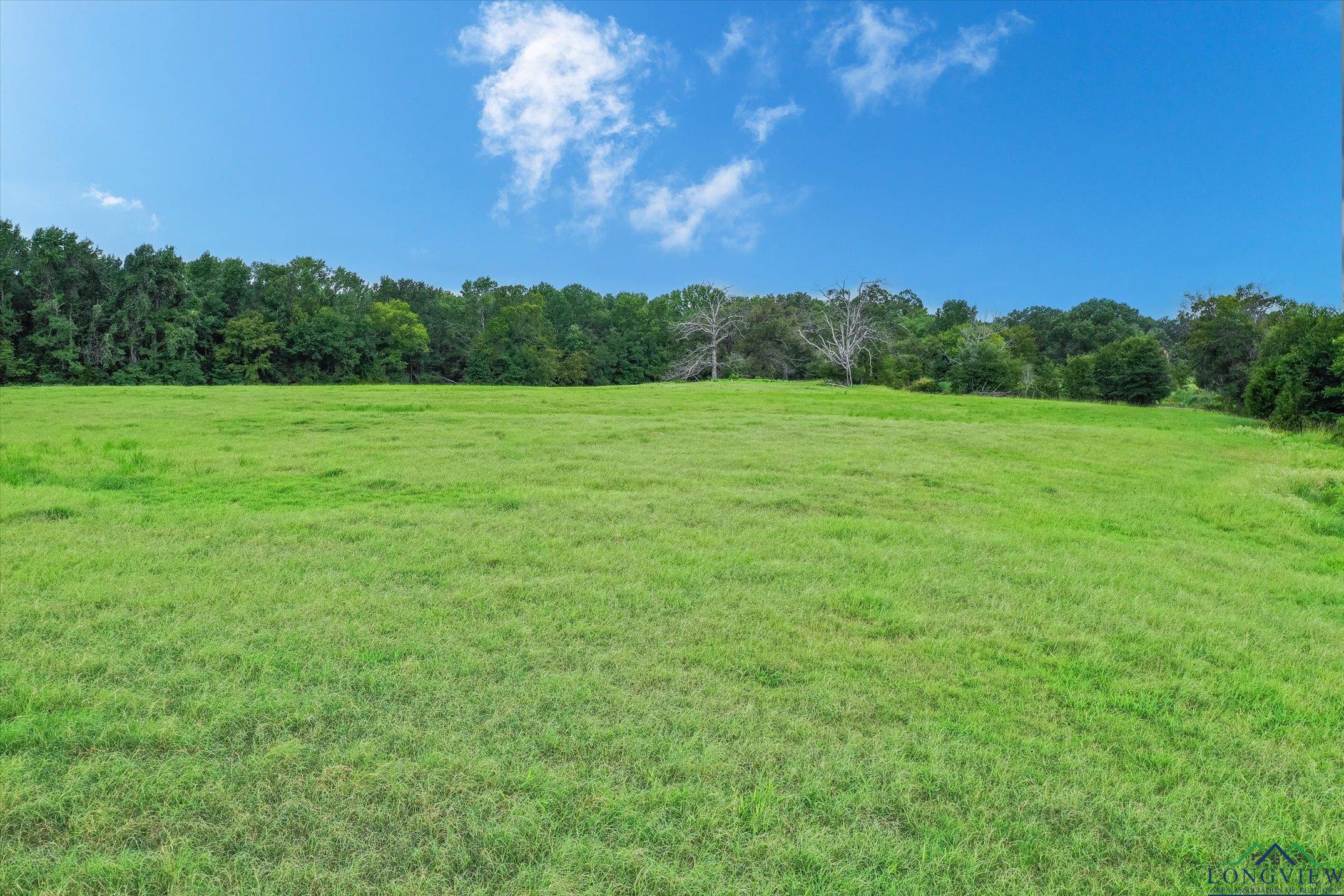 100+/- Acres Fm 773, Grand Saline, Texas image 21