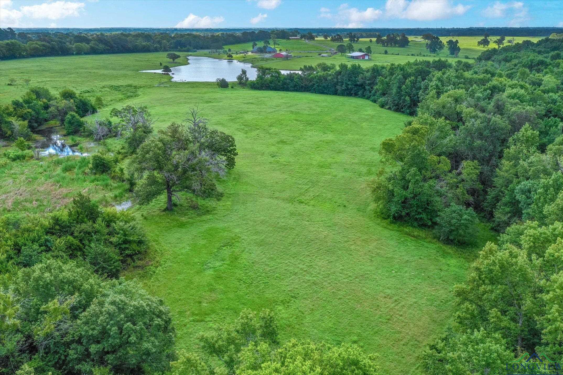 100+/- Acres Fm 773, Grand Saline, Texas image 8