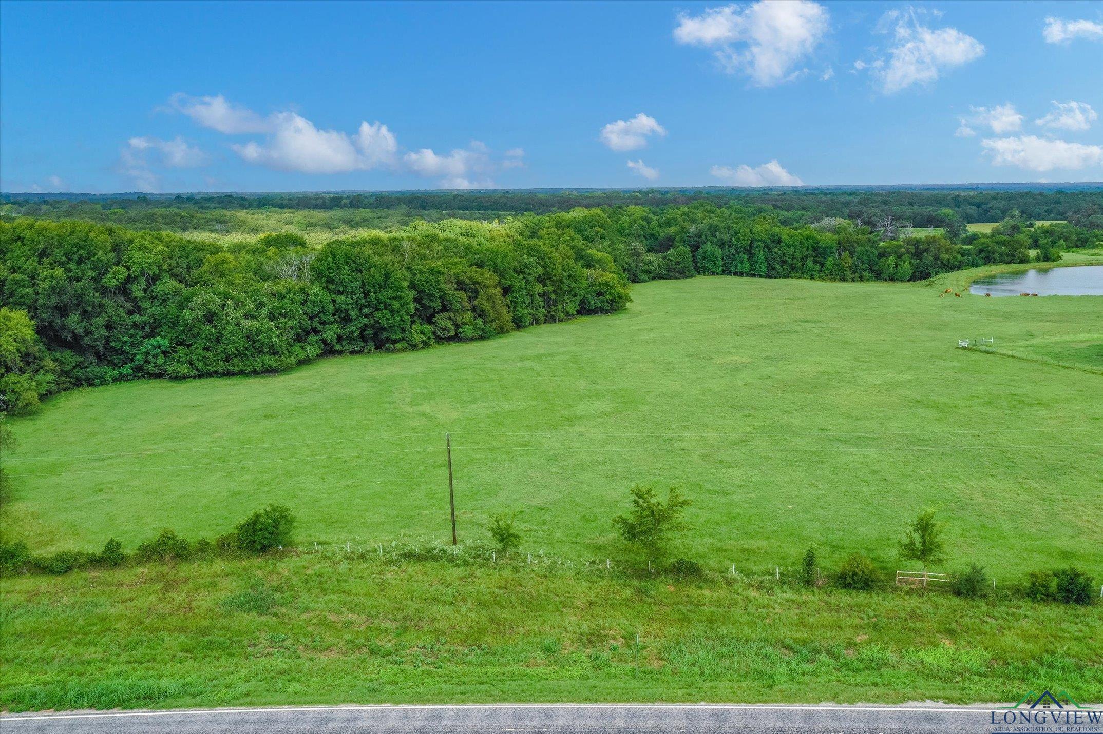 100+/- Acres Fm 773, Grand Saline, Texas image 11