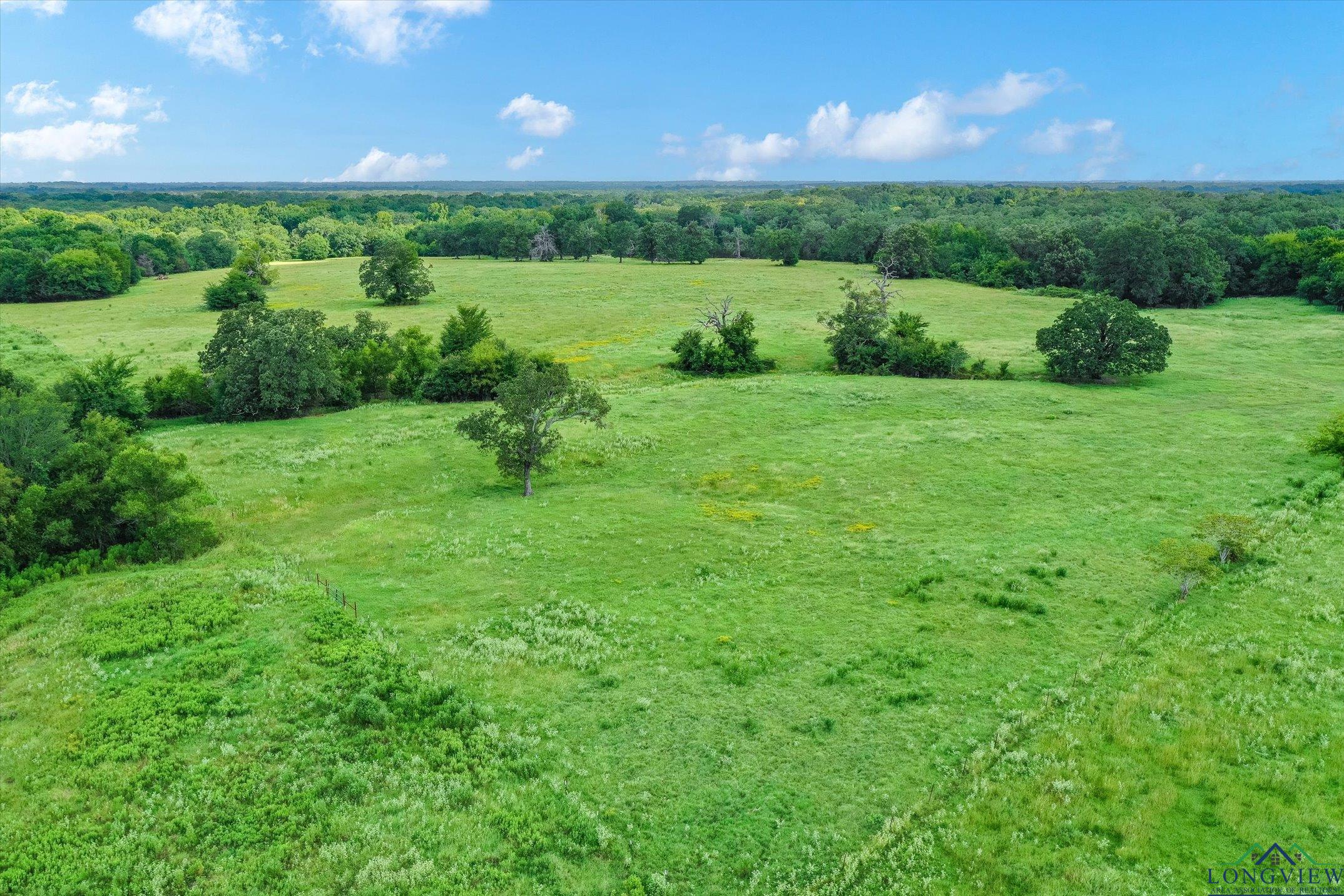 100+/- Acres Fm 773, Grand Saline, Texas image 22