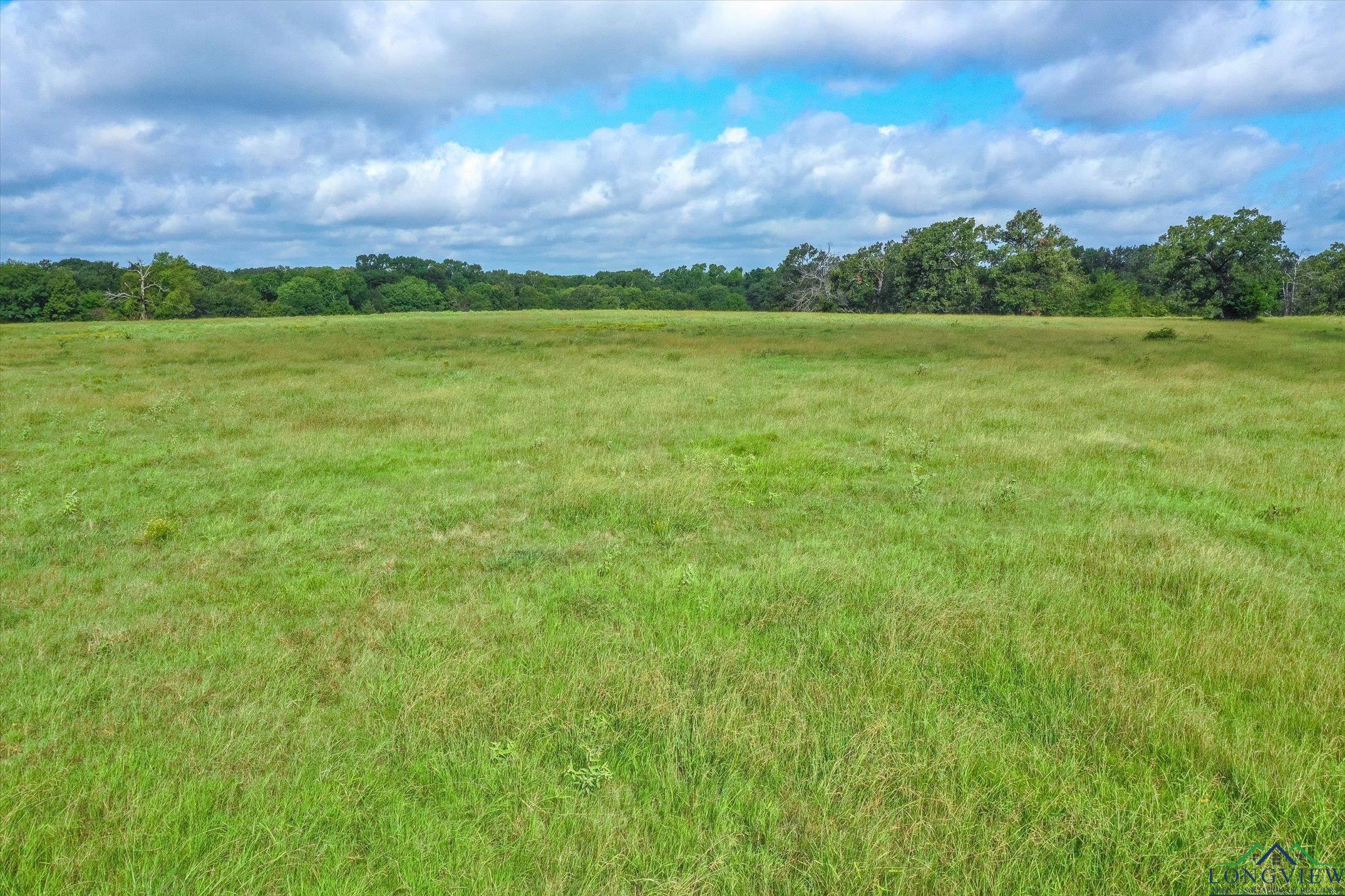 100+/- Acres Fm 773, Grand Saline, Texas image 6