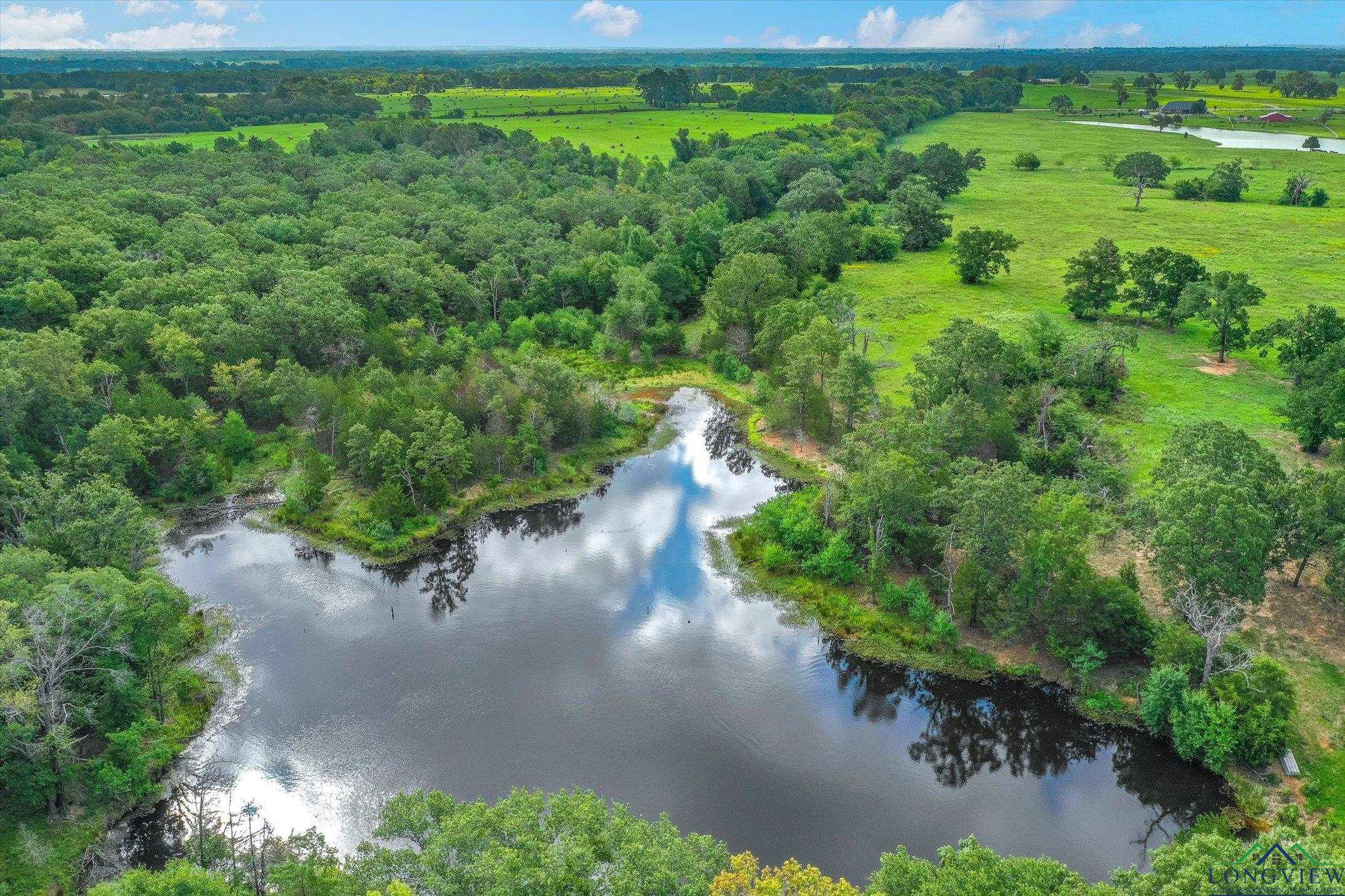 100+/- Acres Fm 773, Grand Saline, Texas image 31