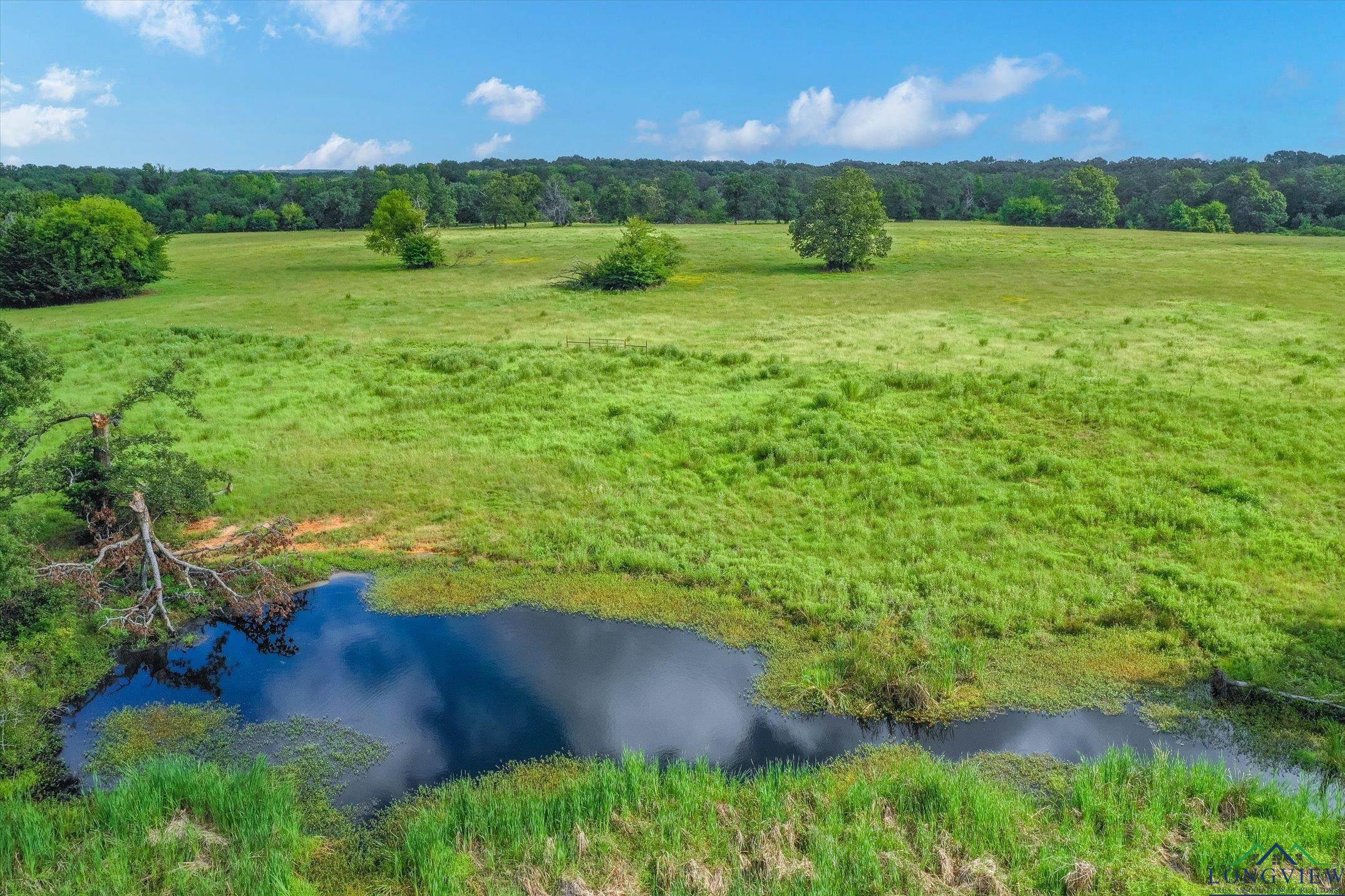 100+/- Acres Fm 773, Grand Saline, Texas image 27