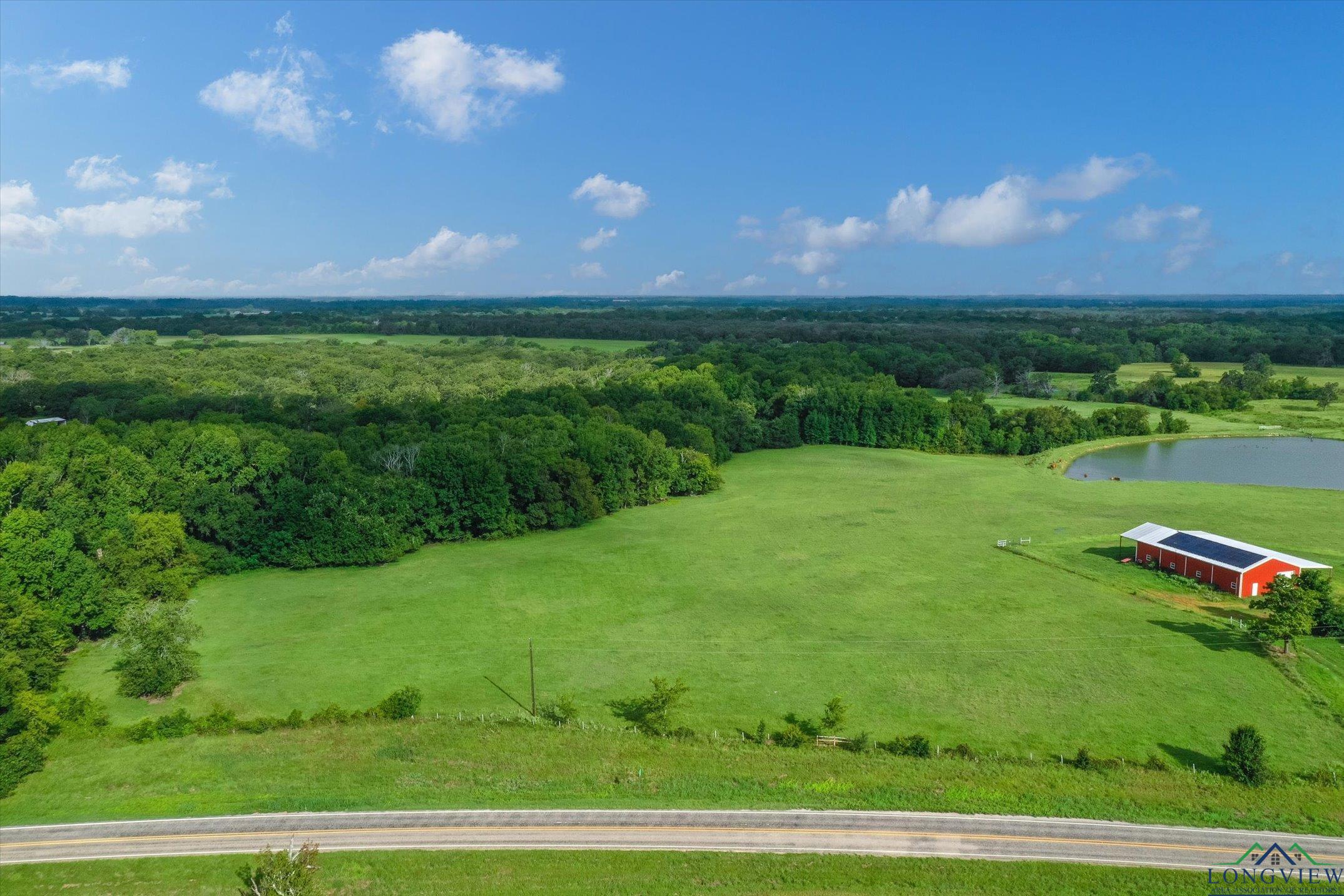 100+/- Acres Fm 773, Grand Saline, Texas image 10