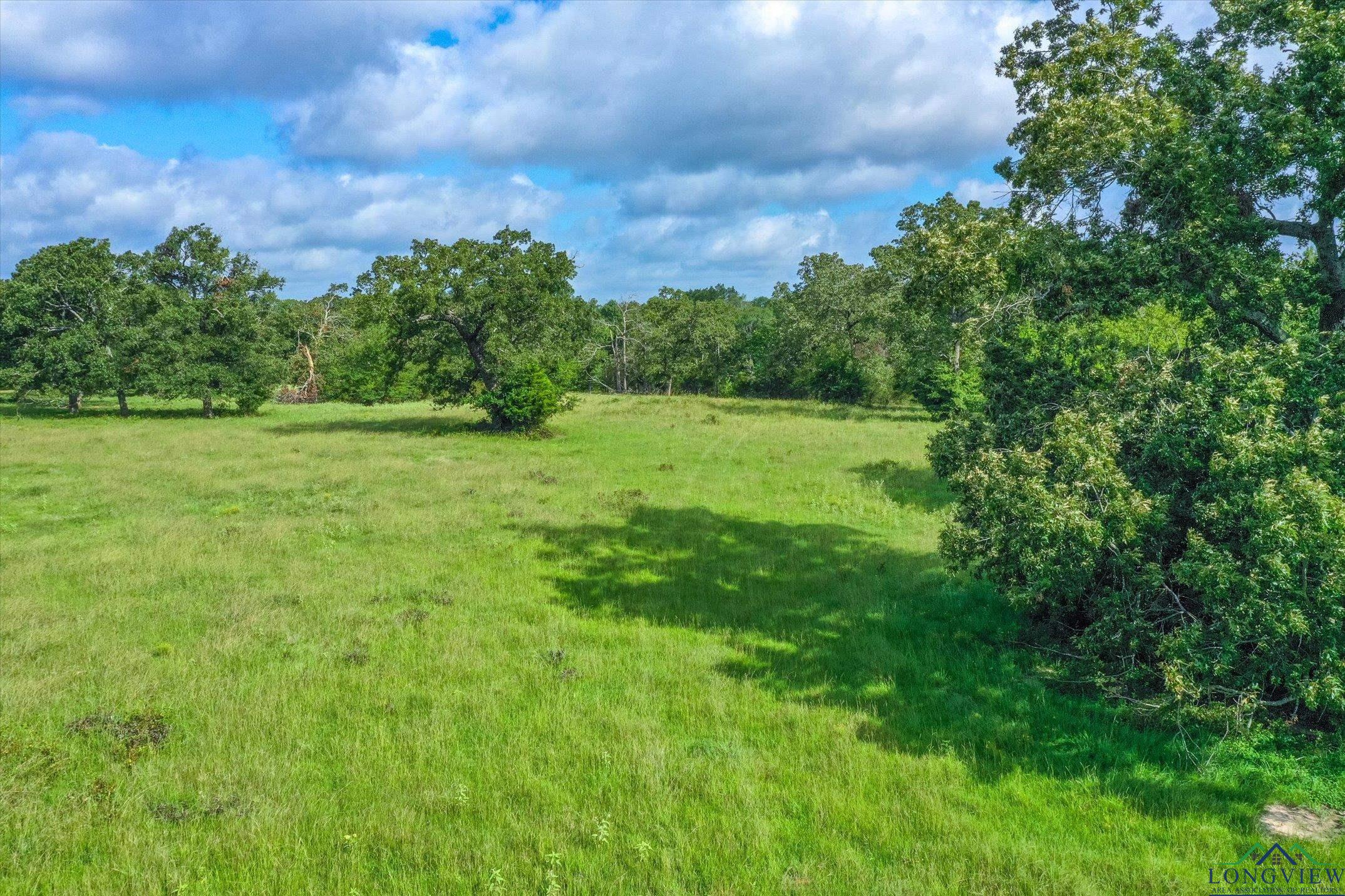 100+/- Acres Fm 773, Grand Saline, Texas image 5