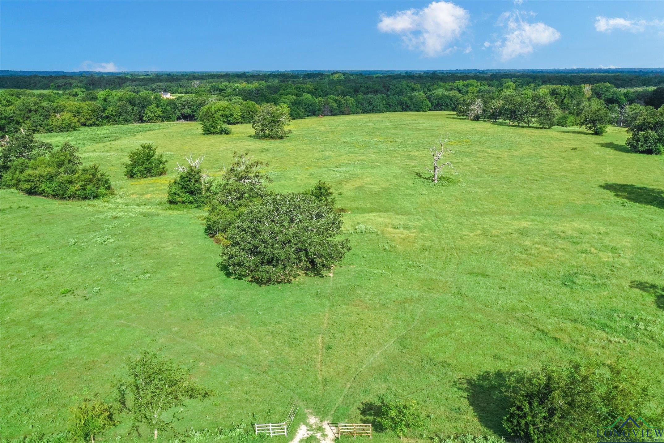 100+/- Acres Fm 773, Grand Saline, Texas image 23