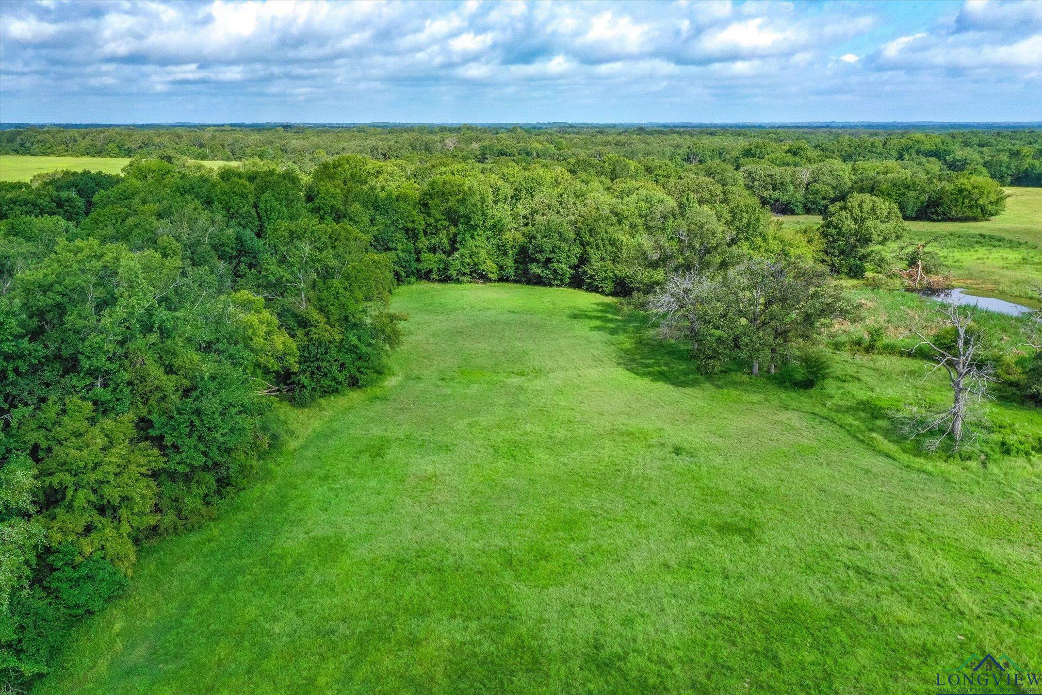 100+/- Acres Fm 773, Grand Saline, Texas image 7