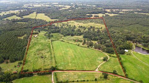 Vacant Land For Sale - 10434 E Cr 366<br/> Rusk County, Henderson, TX 75654