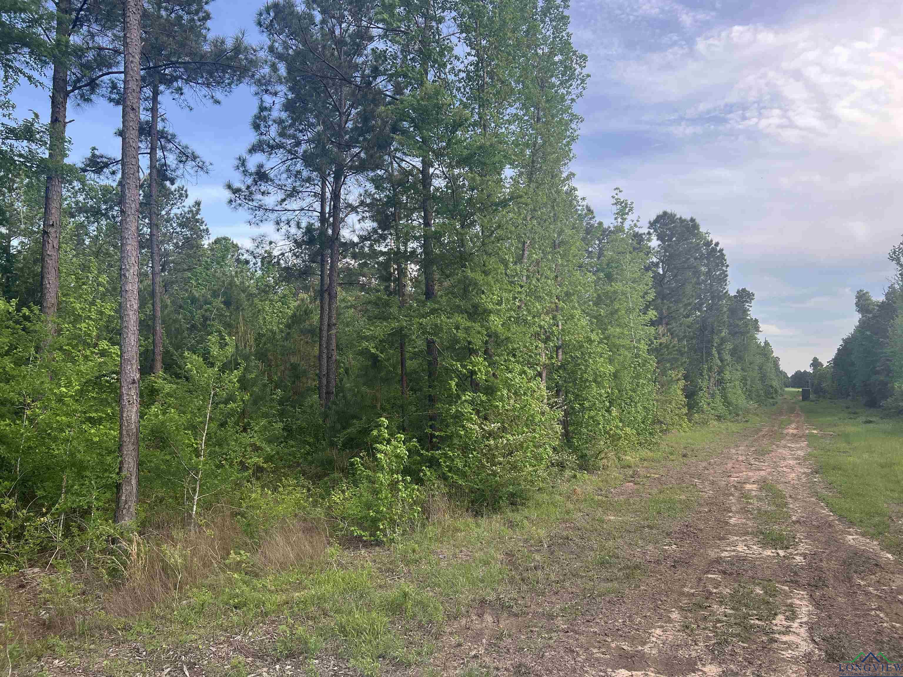 Cr 477, Henderson, Texas image 9