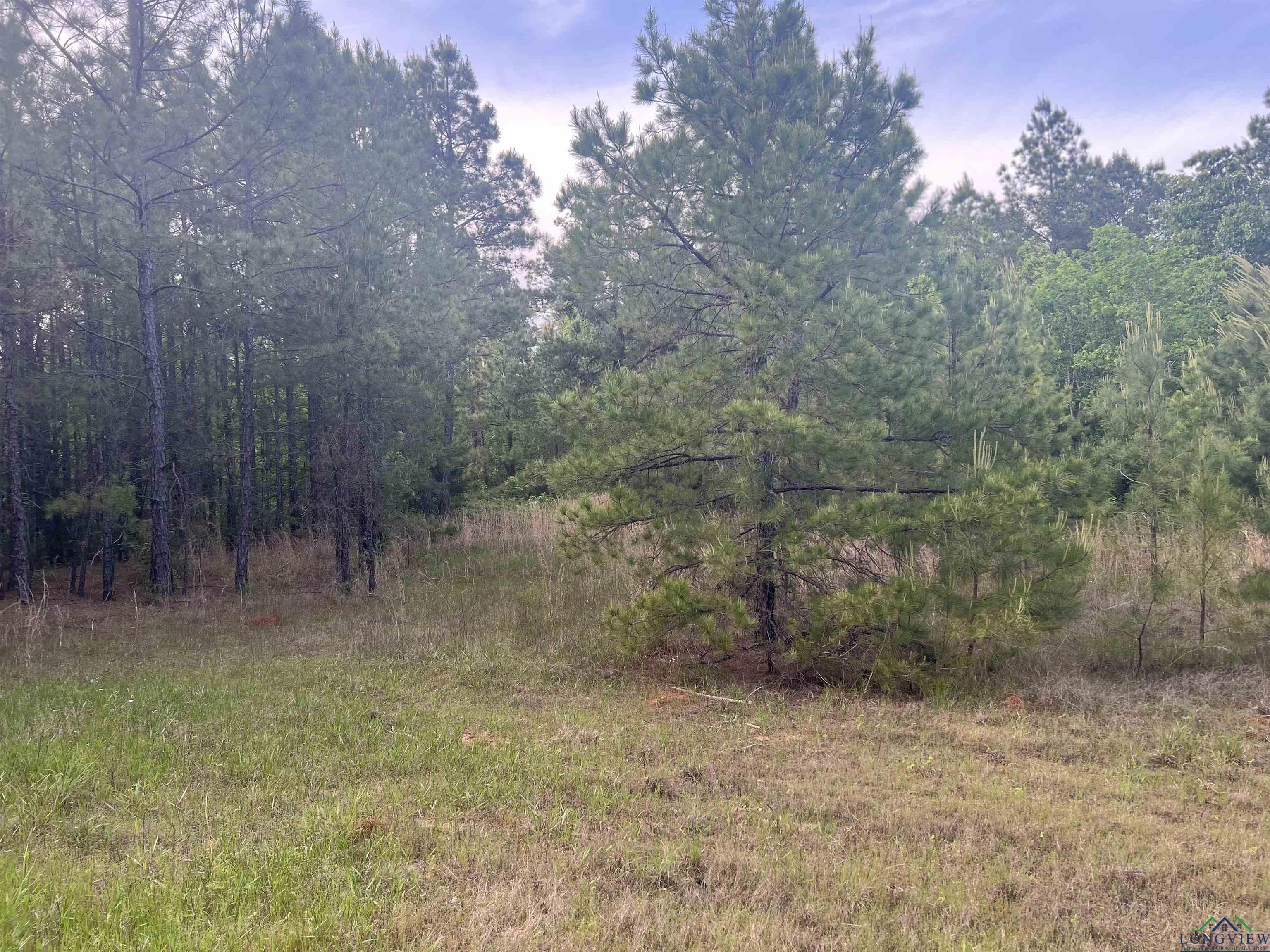 Cr 477, Henderson, Texas image 3