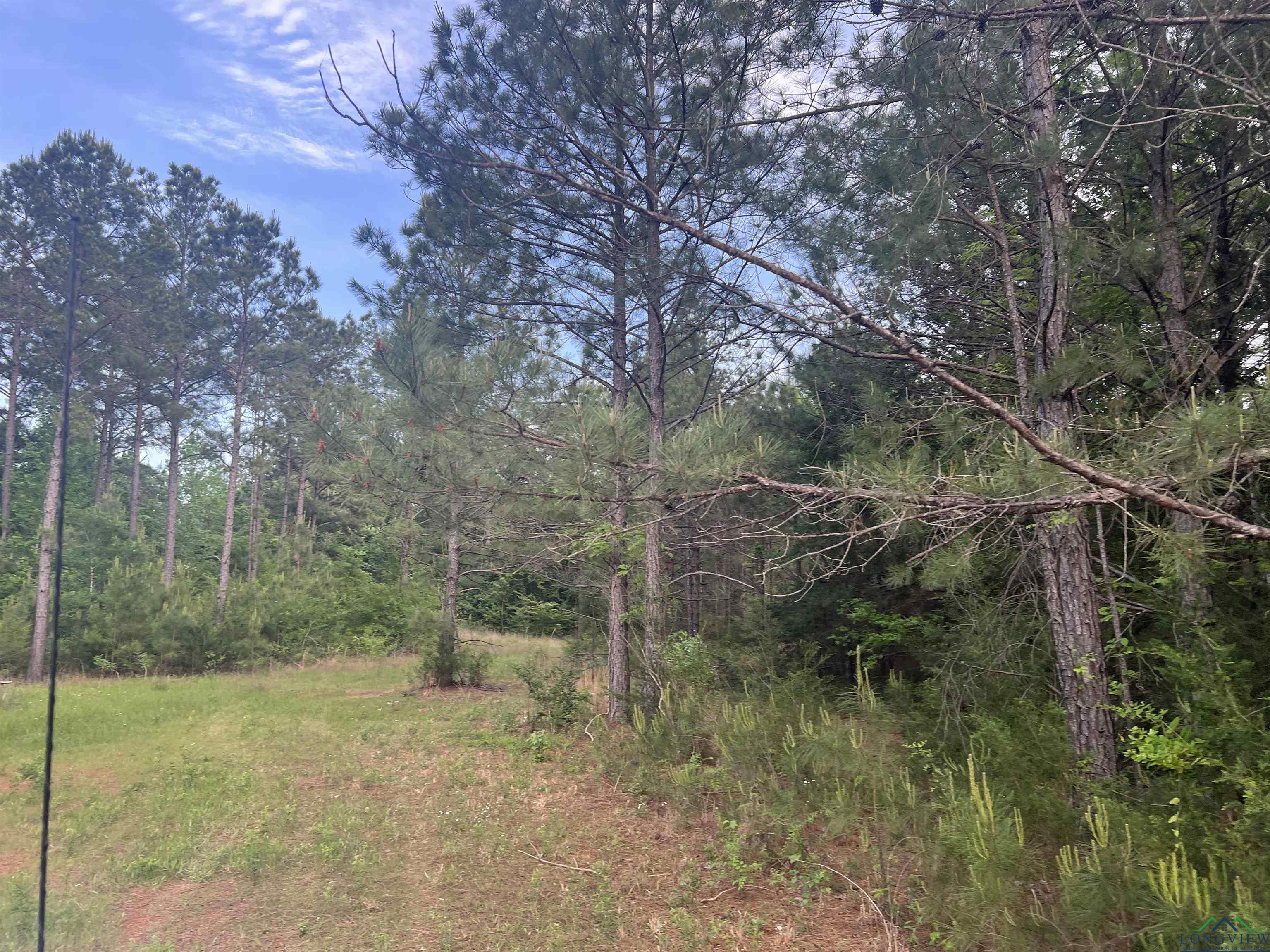 Cr 477, Henderson, Texas image 2