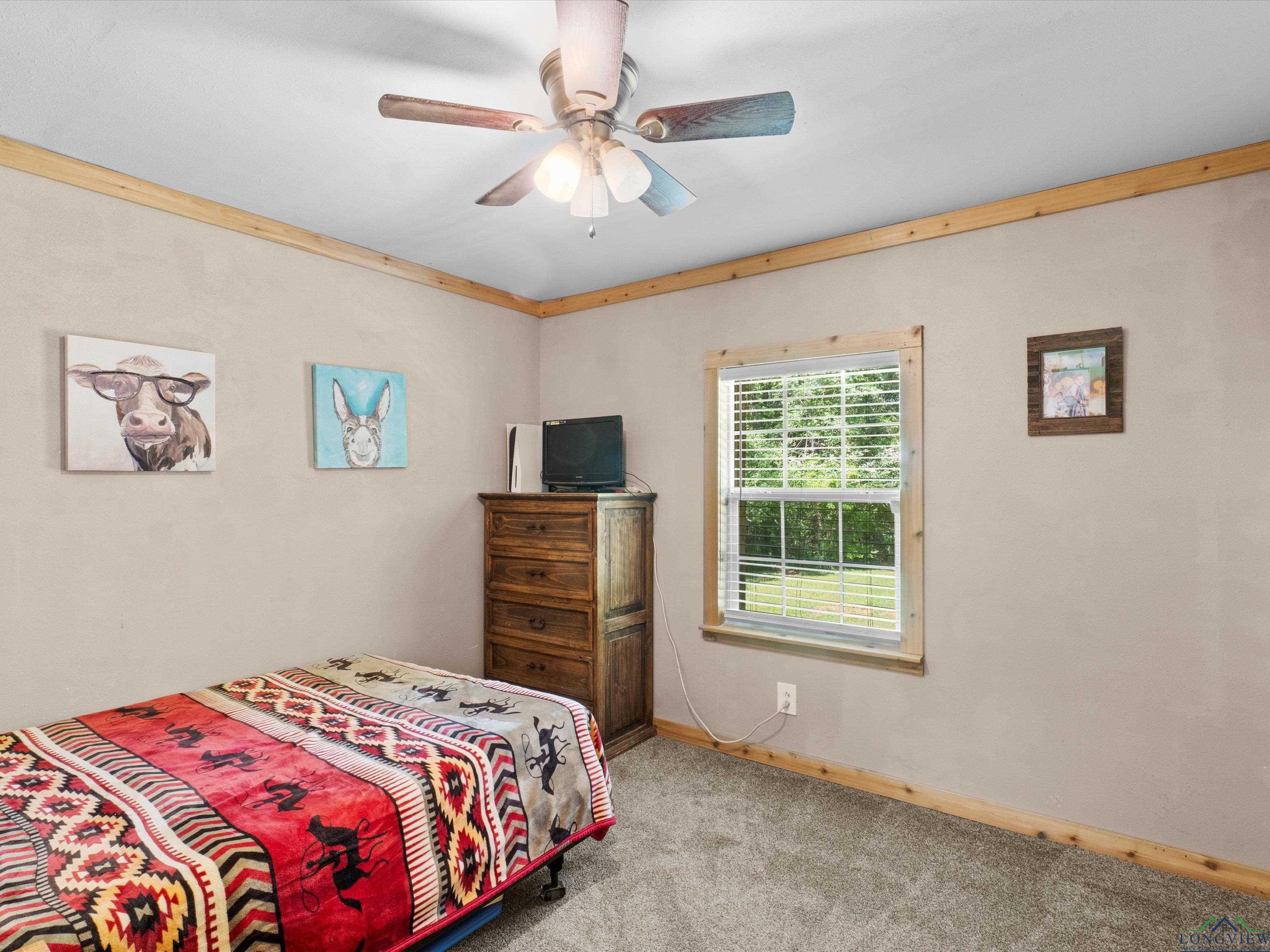 14090 County Road 354, Winona, Texas image 25