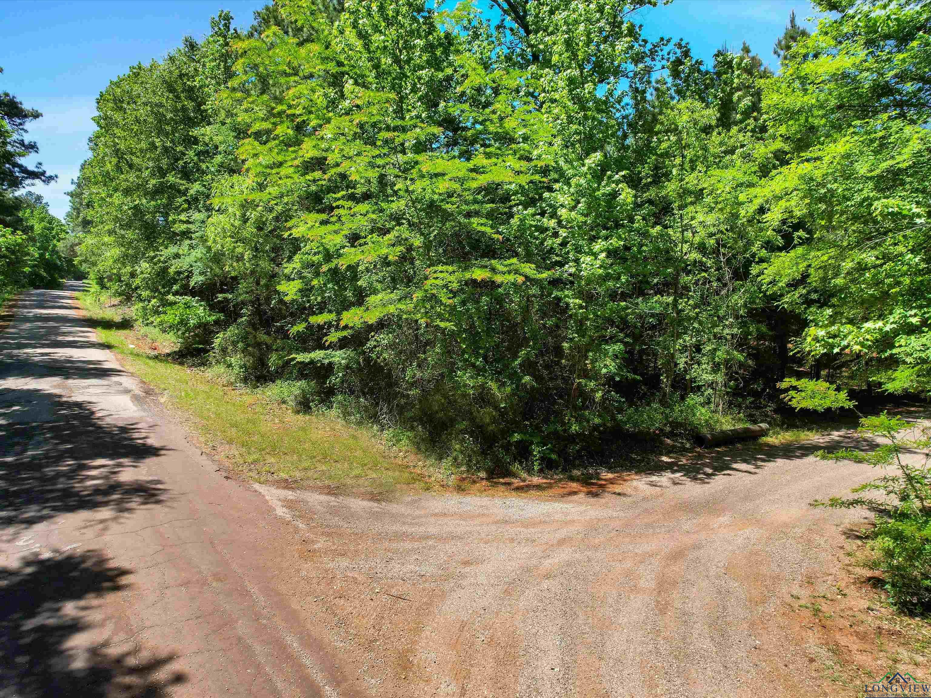 14090 County Road 354, Winona, Texas image 19