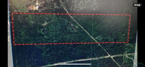 Homes For Sale - TBD Harris Lake Road<br/> Harrison County, Marshall, TX 75672