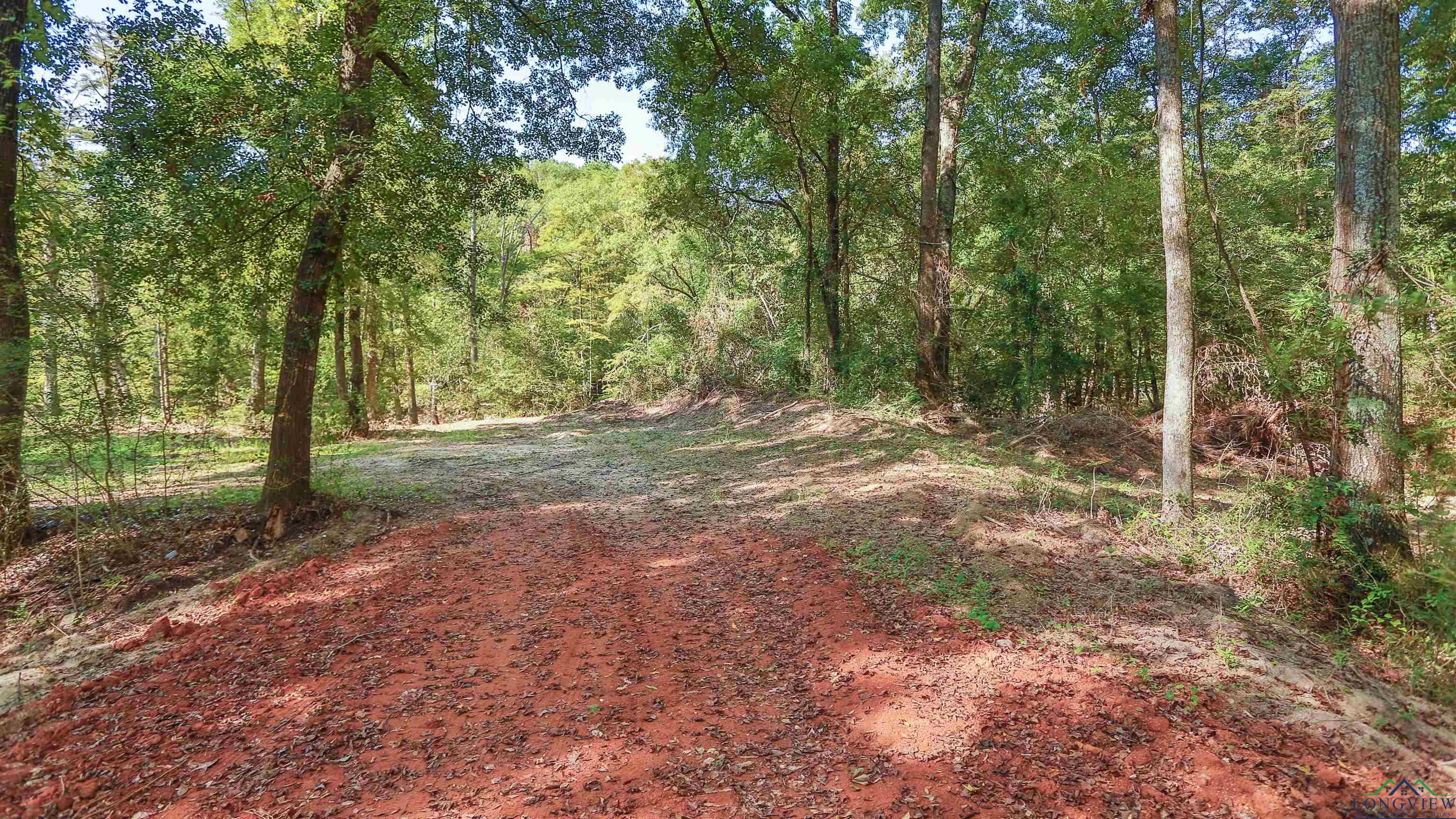 TBD S Alley, Jefferson, Texas image 30