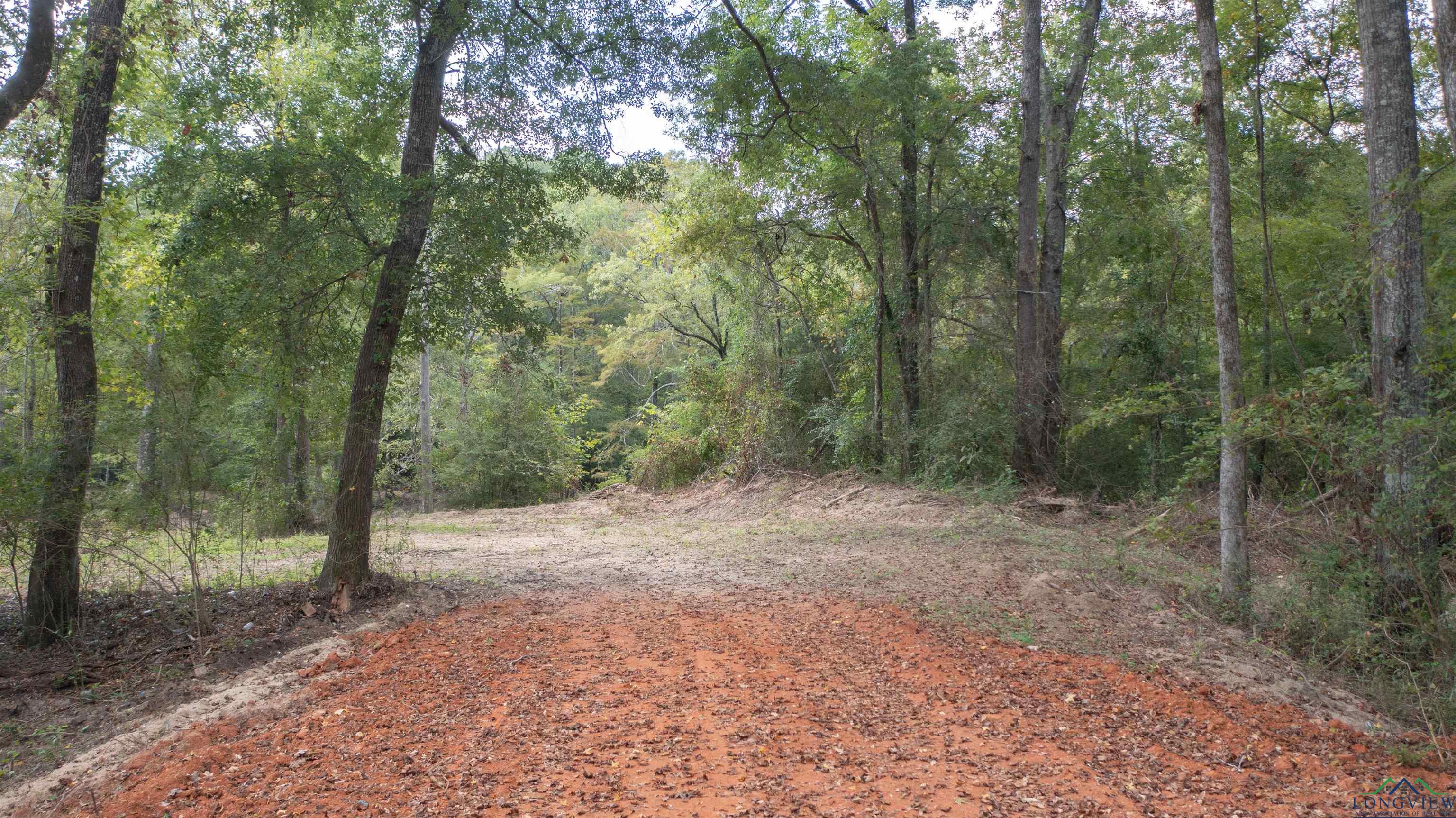 TBD S Alley, Jefferson, Texas image 4