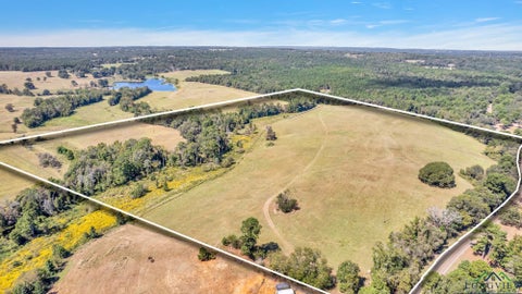 Vacant Land For Sale - Fm 19<br/> Palestine, TX 75803
