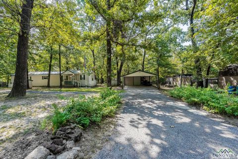 Homes For Sale - 339 Eastern Hills Drive<br/> Marion County, Jefferson, TX 75657