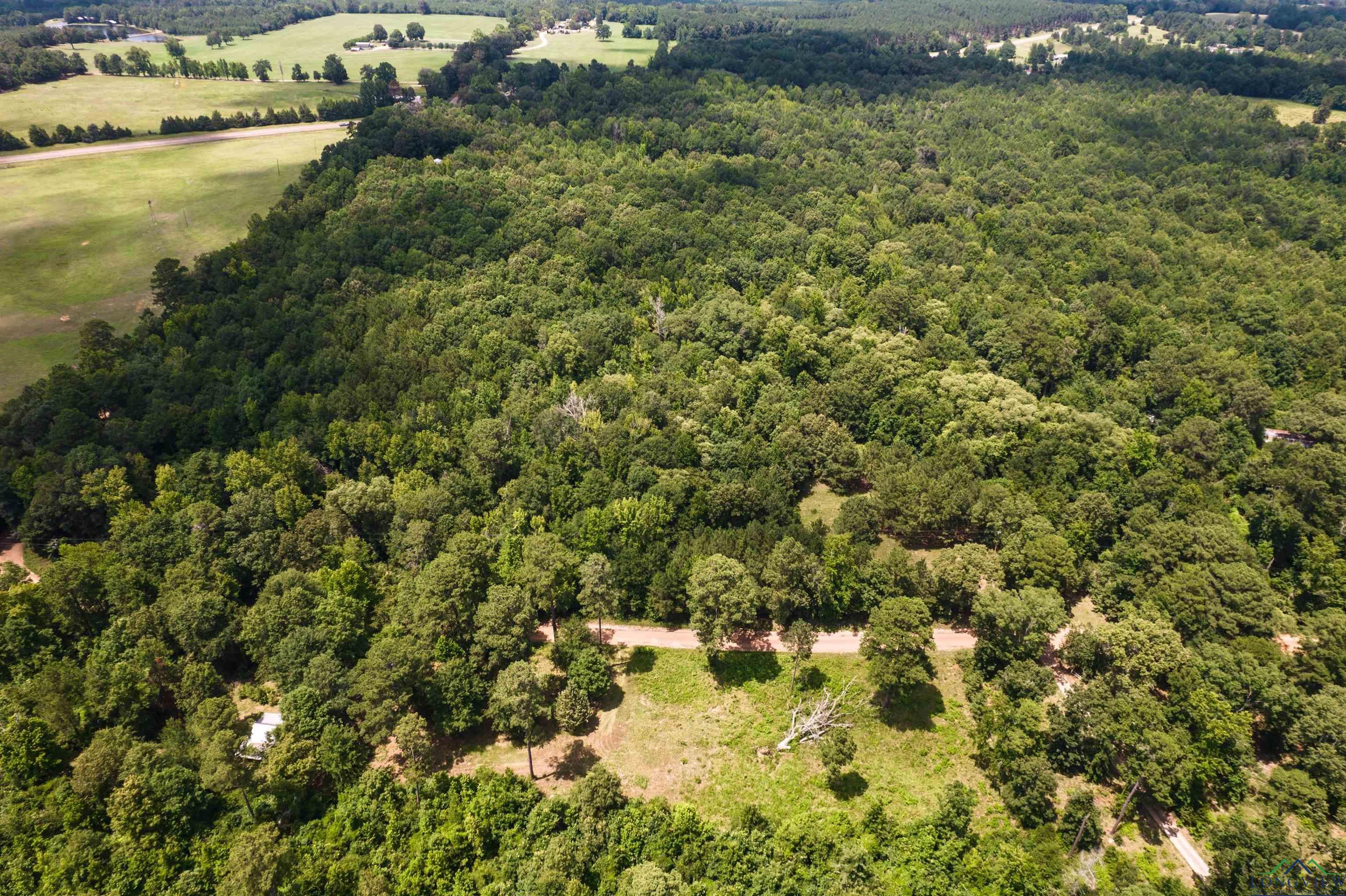 TBD County Road 1632, Linden, Texas image 10