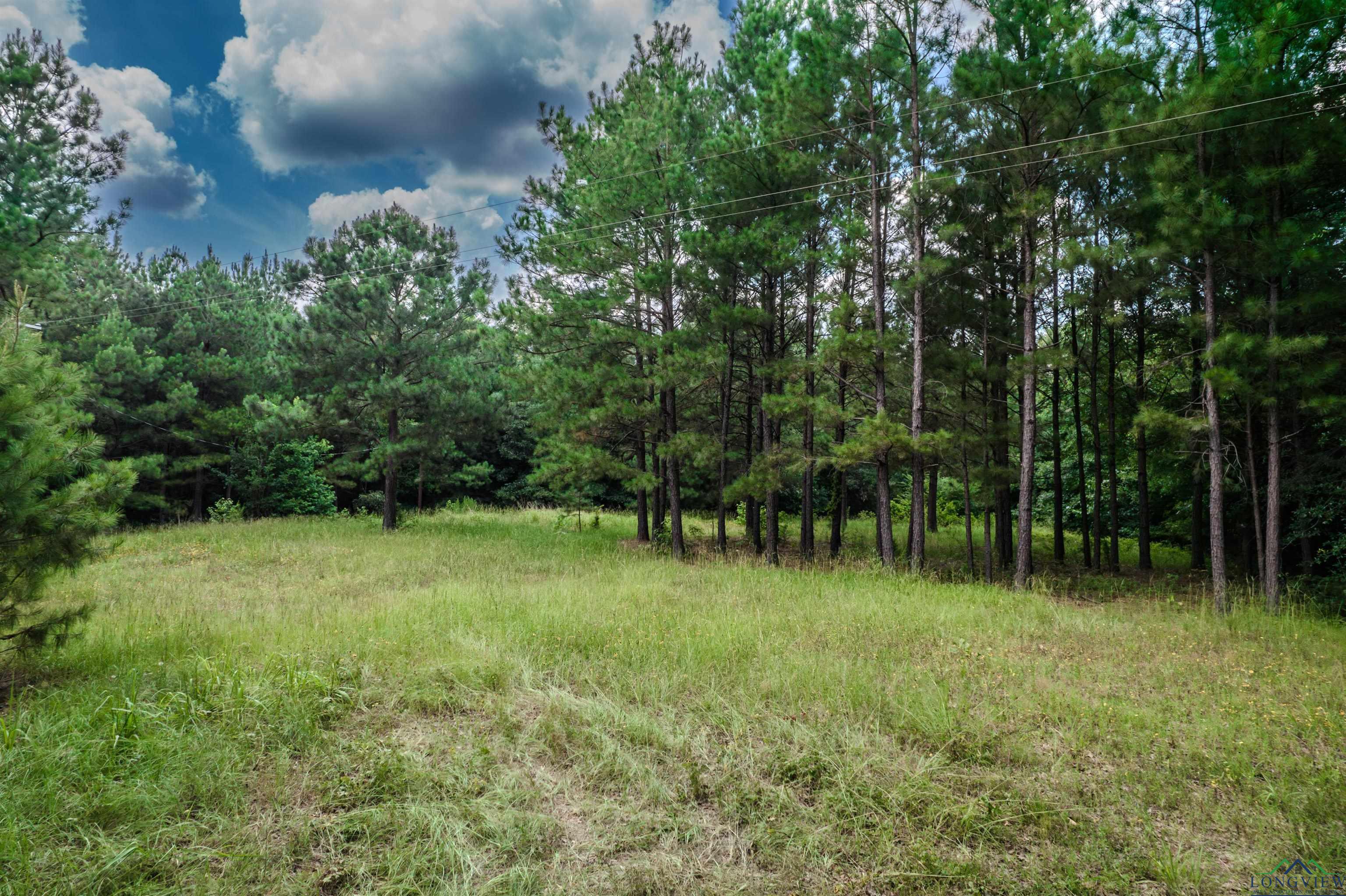 TBD County Road 1632, Linden, Texas image 1