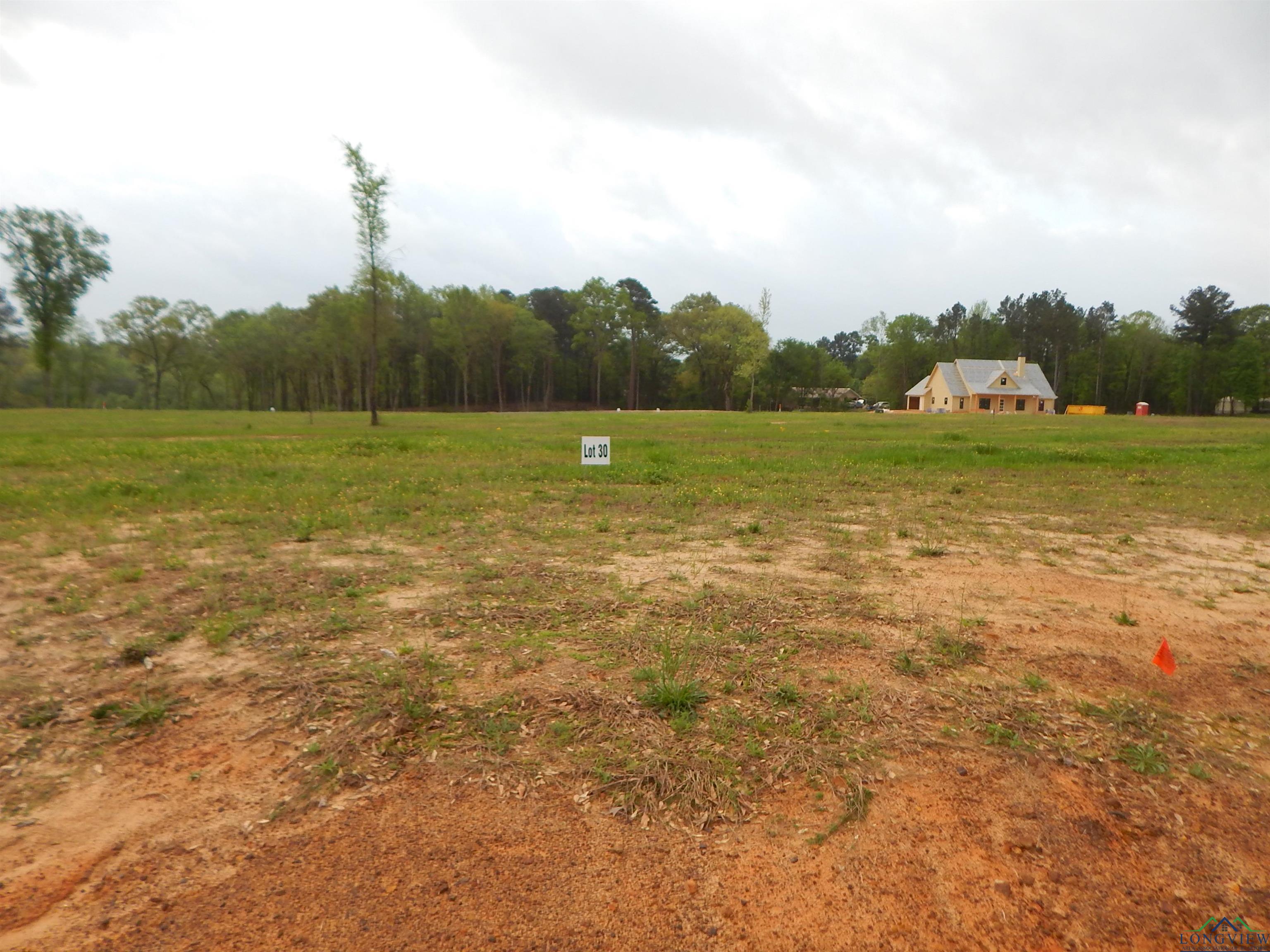 160 Indian Rock Dr, Gilmer, Texas image 8
