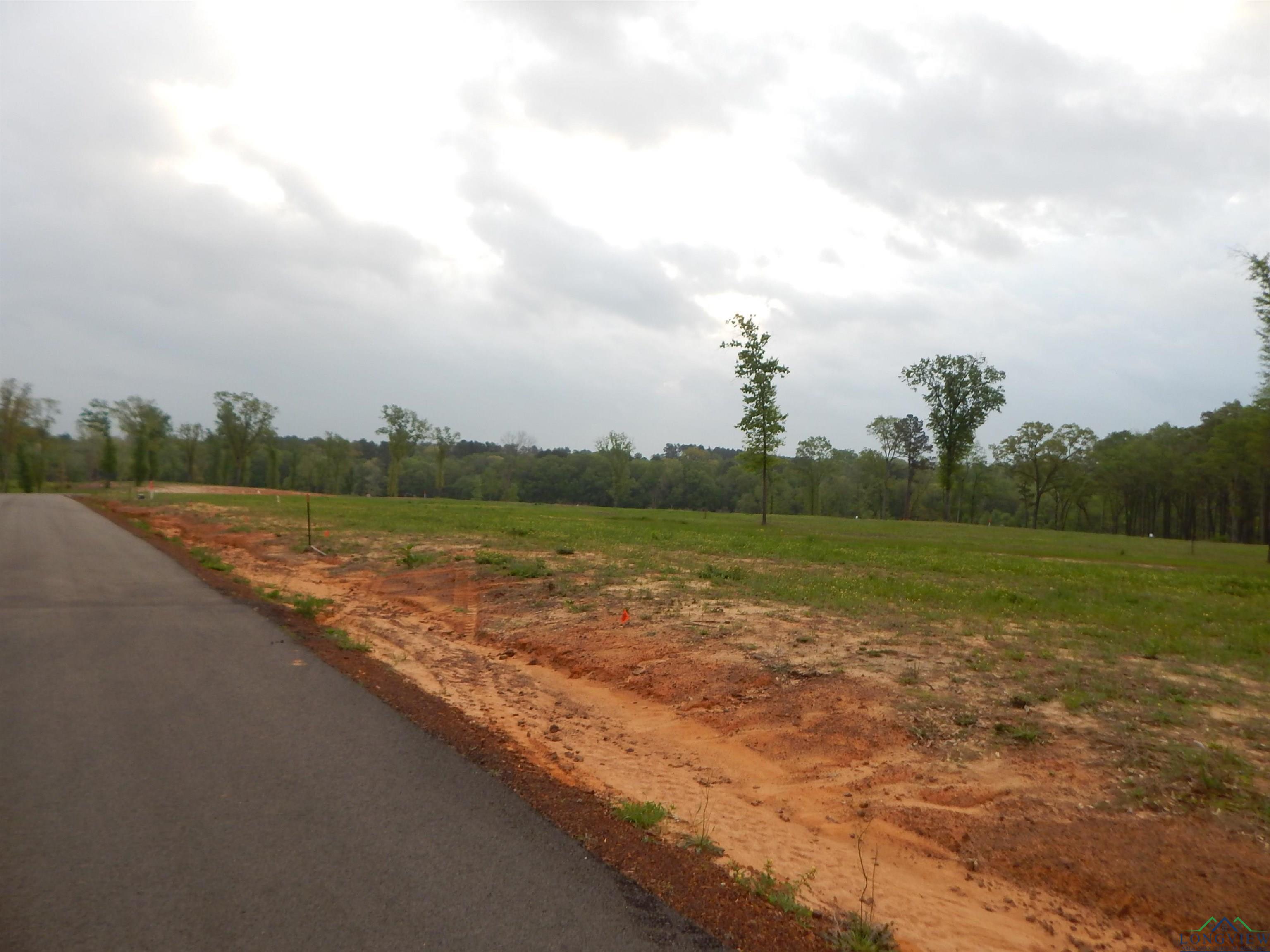 160 Indian Rock Dr, Gilmer, Texas image 5