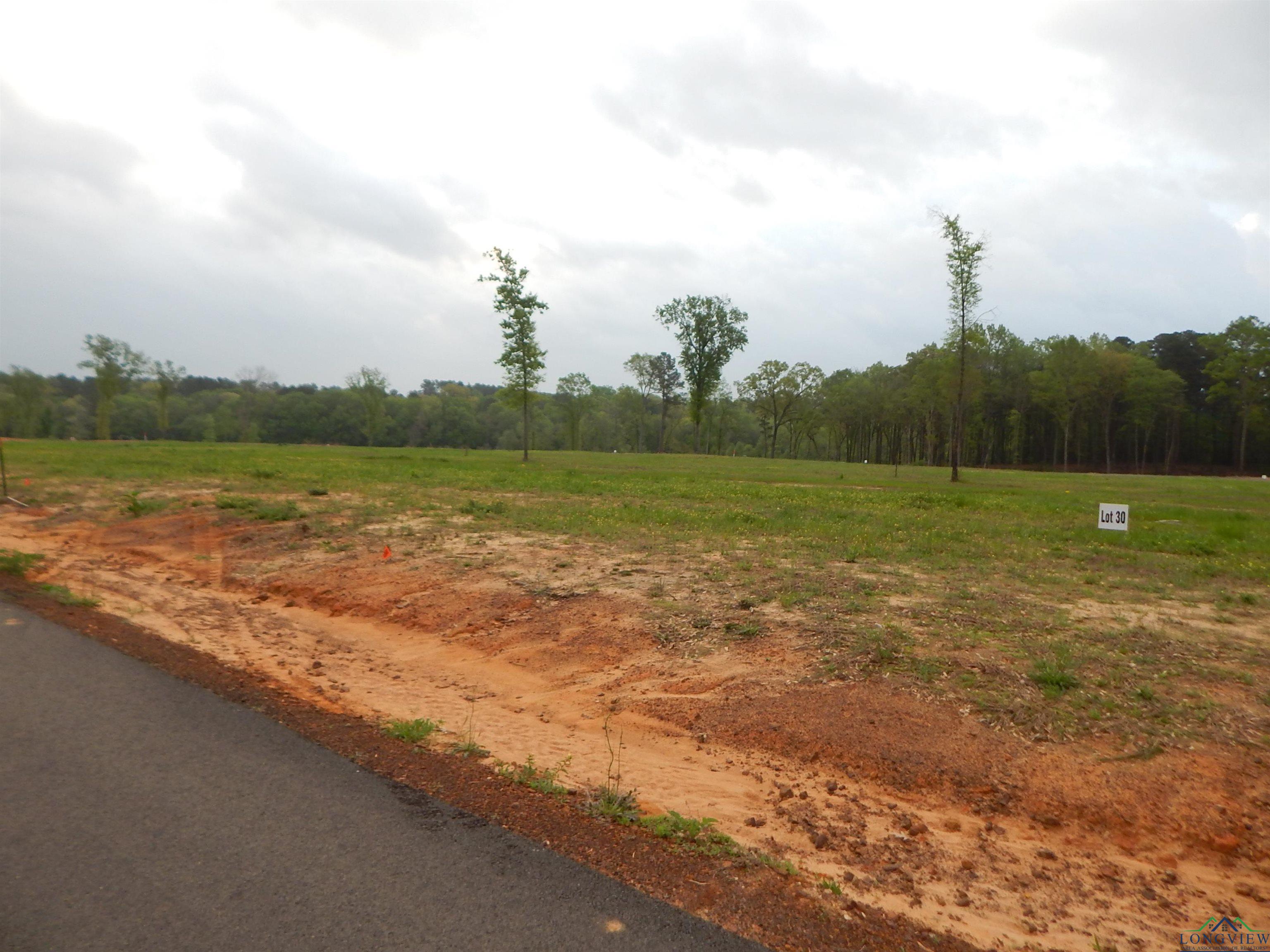 160 Indian Rock Dr, Gilmer, Texas image 1
