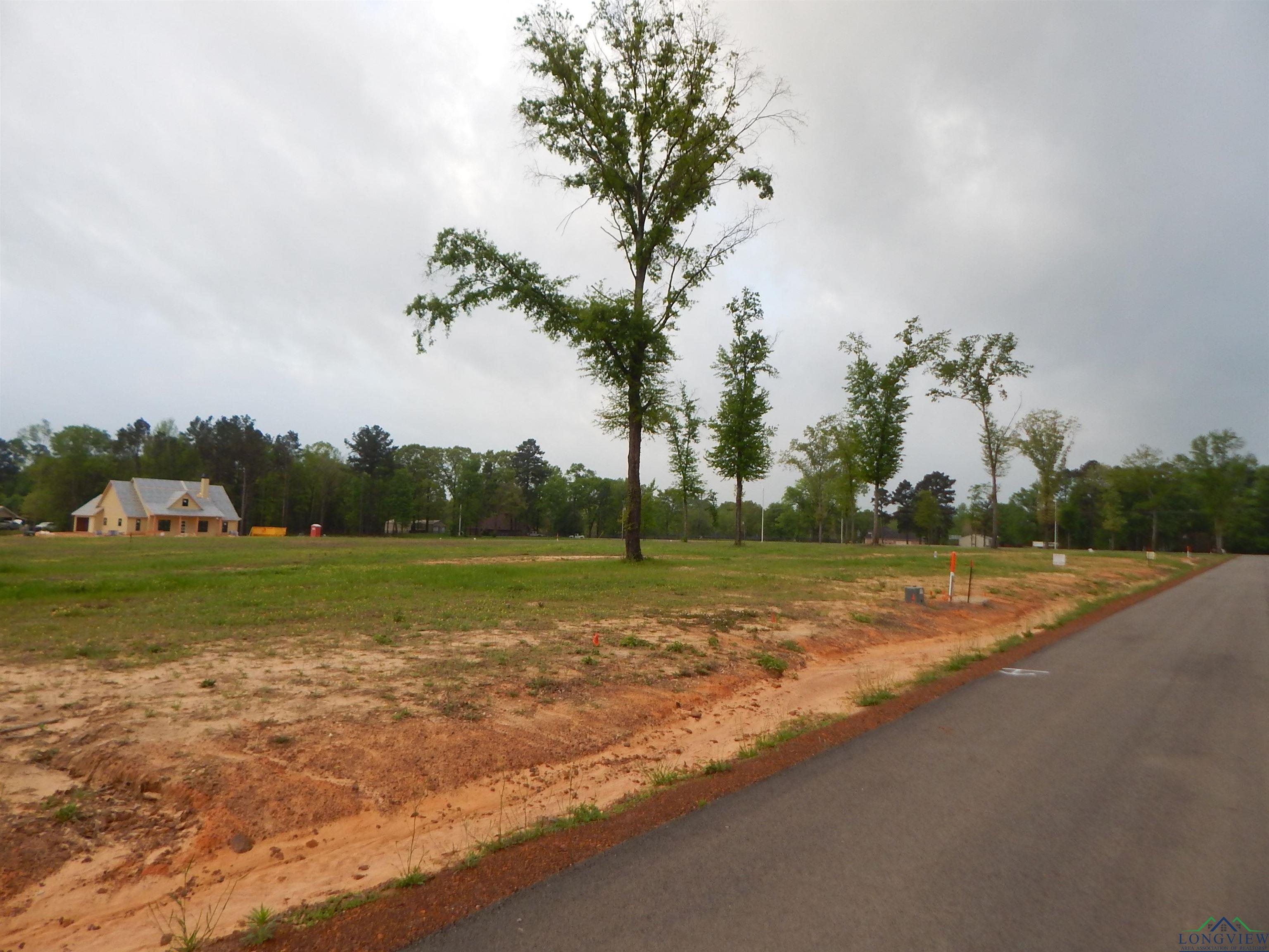160 Indian Rock Dr, Gilmer, Texas image 2