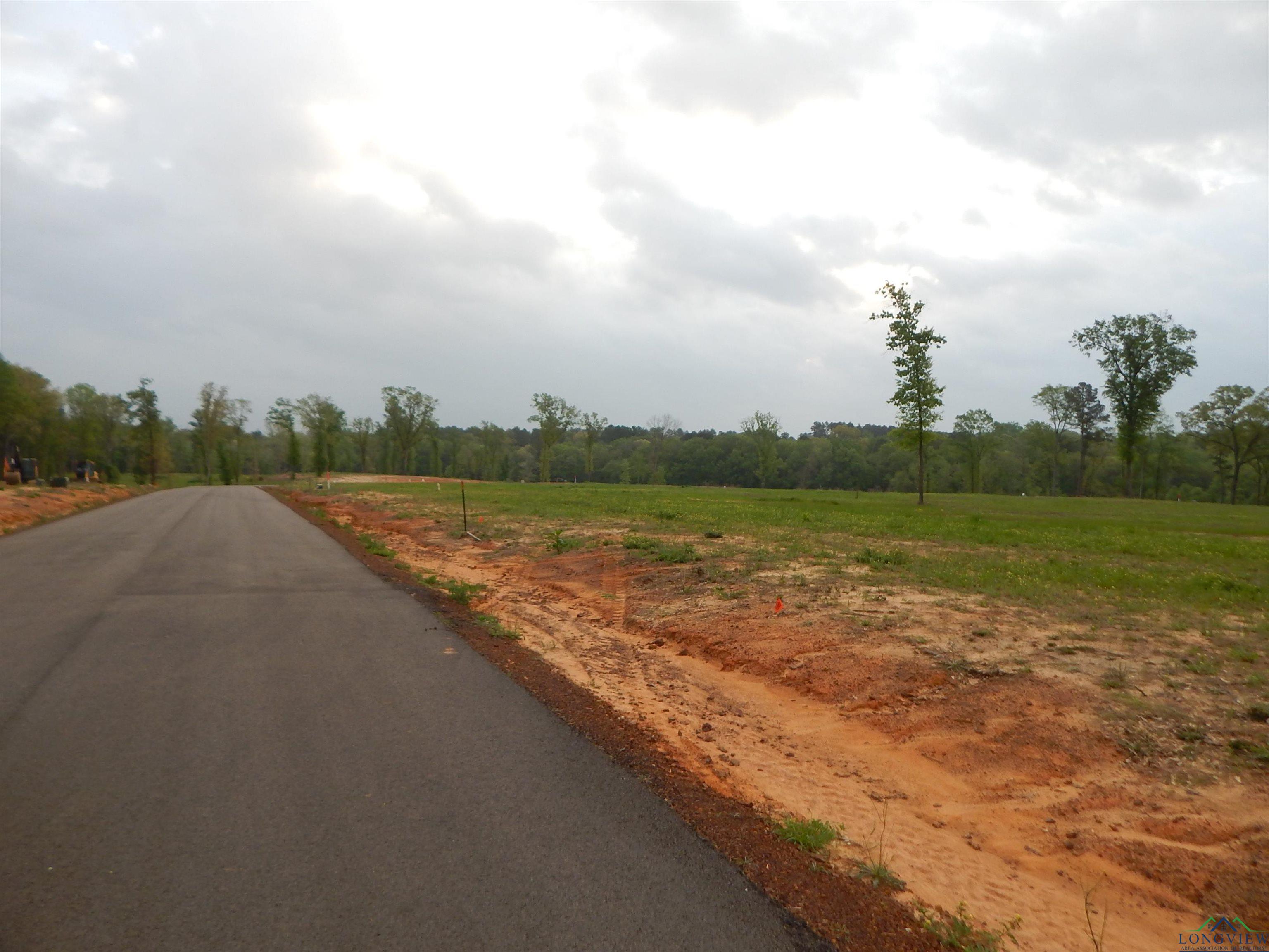 160 Indian Rock Dr, Gilmer, Texas image 6