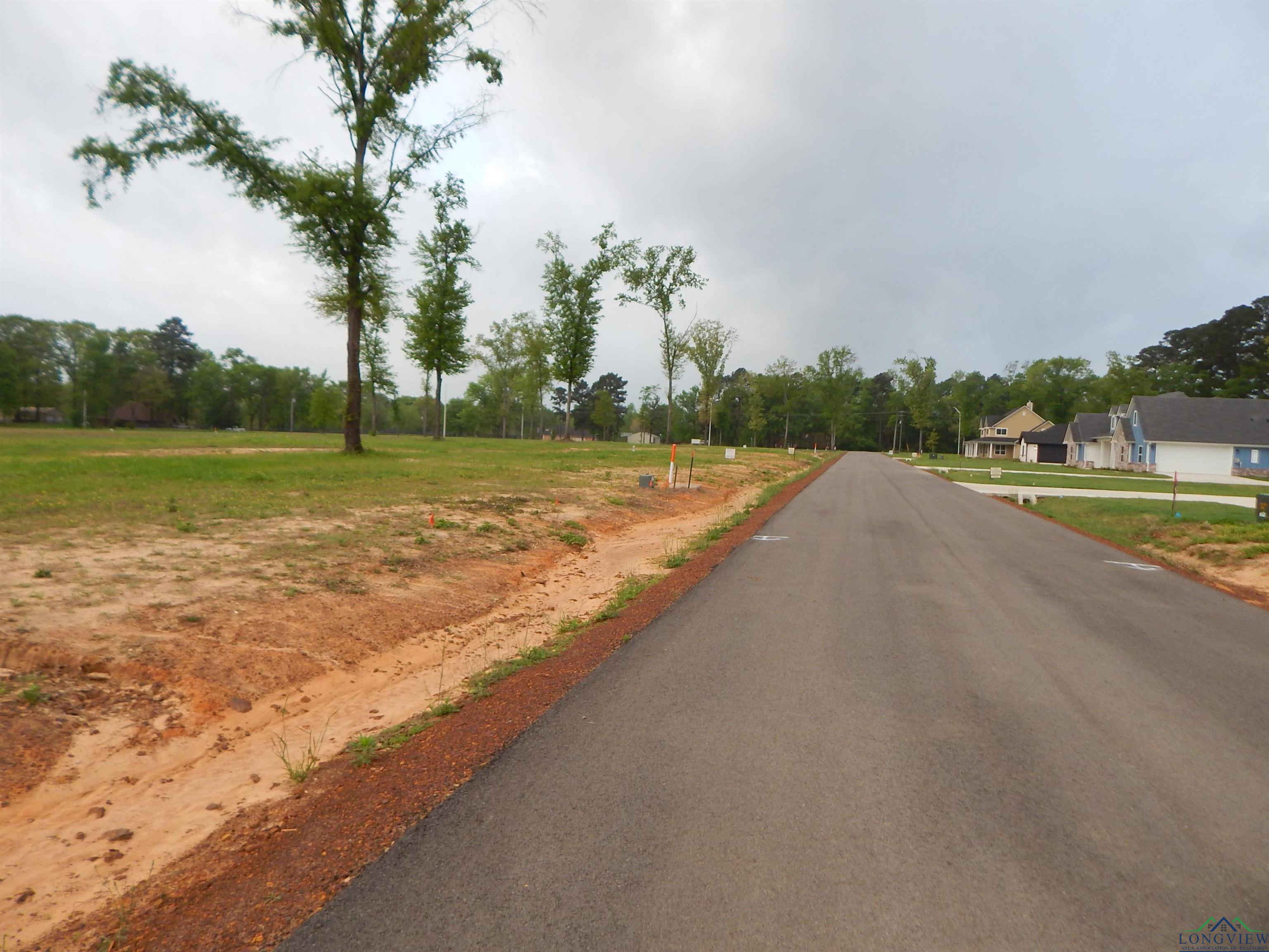 160 Indian Rock Dr, Gilmer, Texas image 7