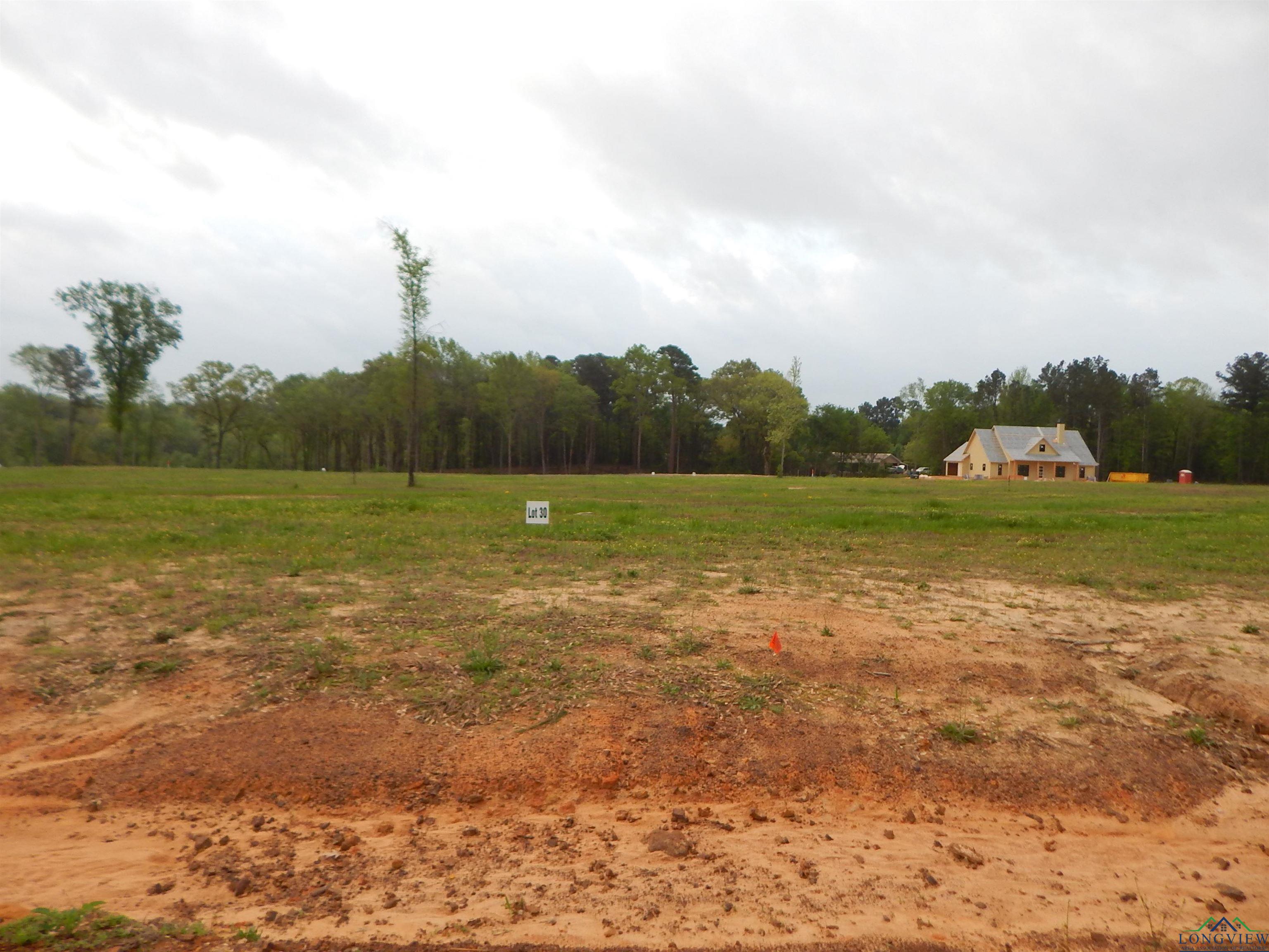 160 Indian Rock Dr, Gilmer, Texas image 4
