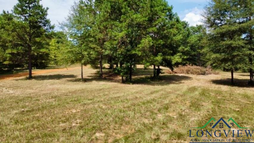 1317 N Main, Linden, Texas image 7
