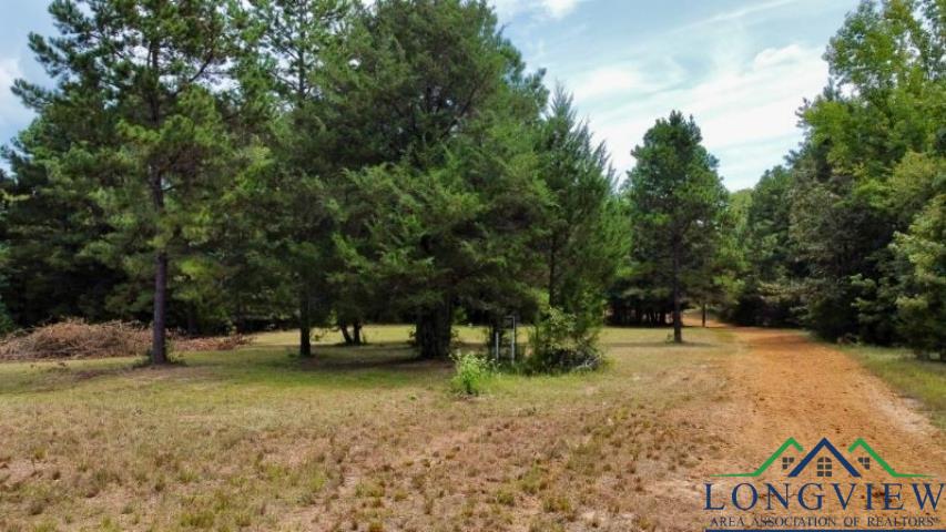 1317 N Main, Linden, Texas image 9