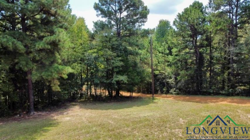 1317 N Main, Linden, Texas image 8