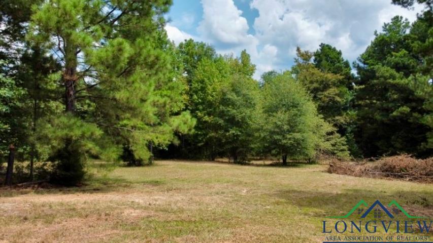 1317 N Main, Linden, Texas image 10