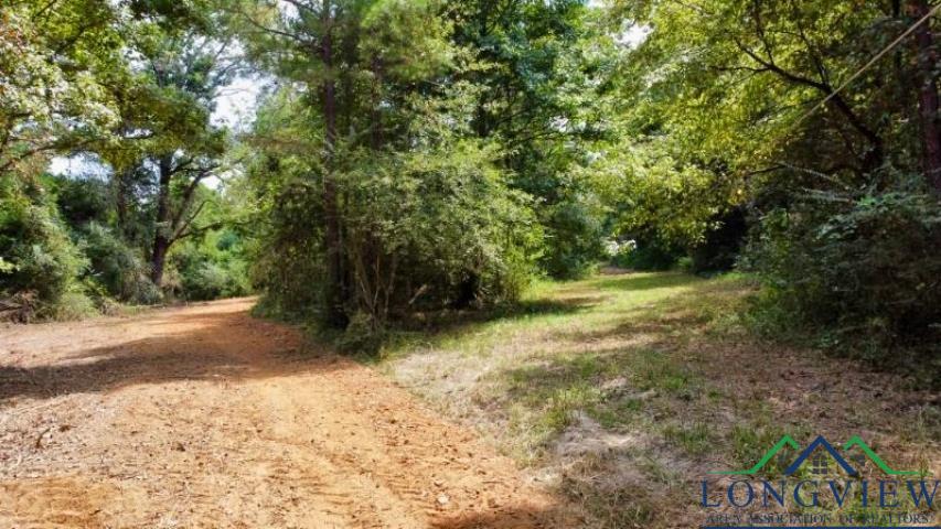 1317 N Main, Linden, Texas image 6